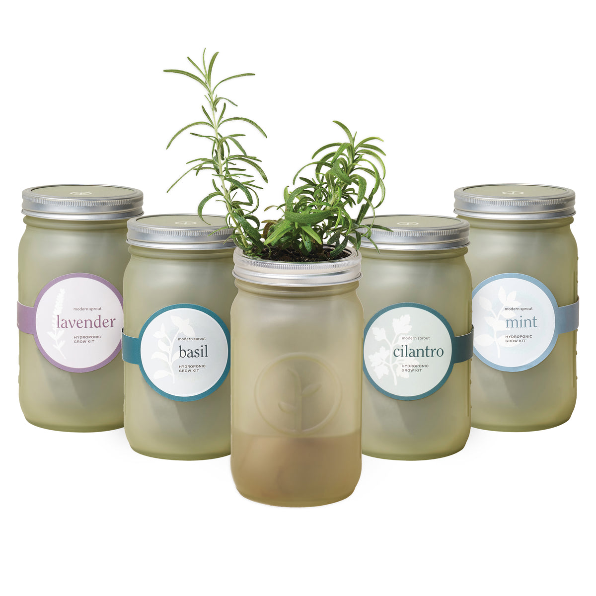 Green glass garden jars with labeled herbs including lavender, basil, cilantro, and mint, featuring plants growing inside.