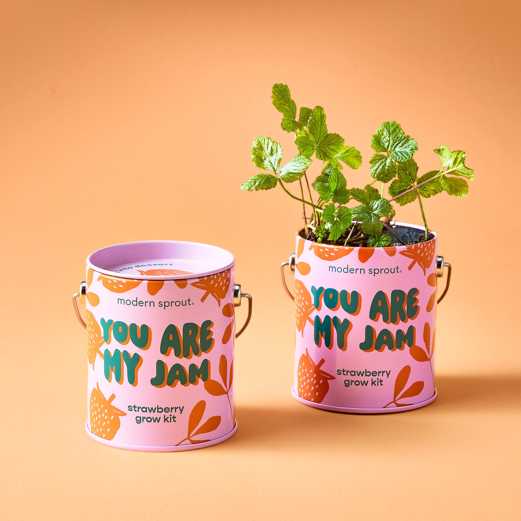 Strawberry grow kit in a colorful canister with a playful design, featuring vibrant leaves sprouting from the top.