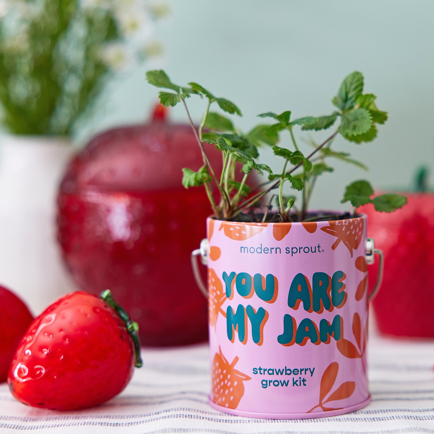 Strawberry grow kit in a pink container labeled "You Are My Jam" with small green plants, surrounded by decorative strawberries.