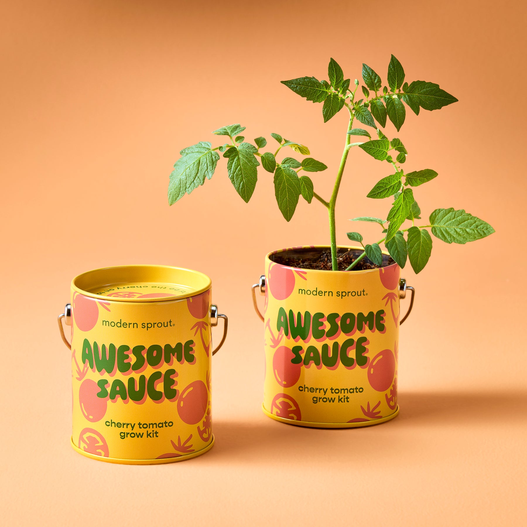 Two colorful yellow cans labeled "Awesome Sauce" containing a cherry tomato grow kit, with one can sprouting a healthy tomato plant against a warm orange background.