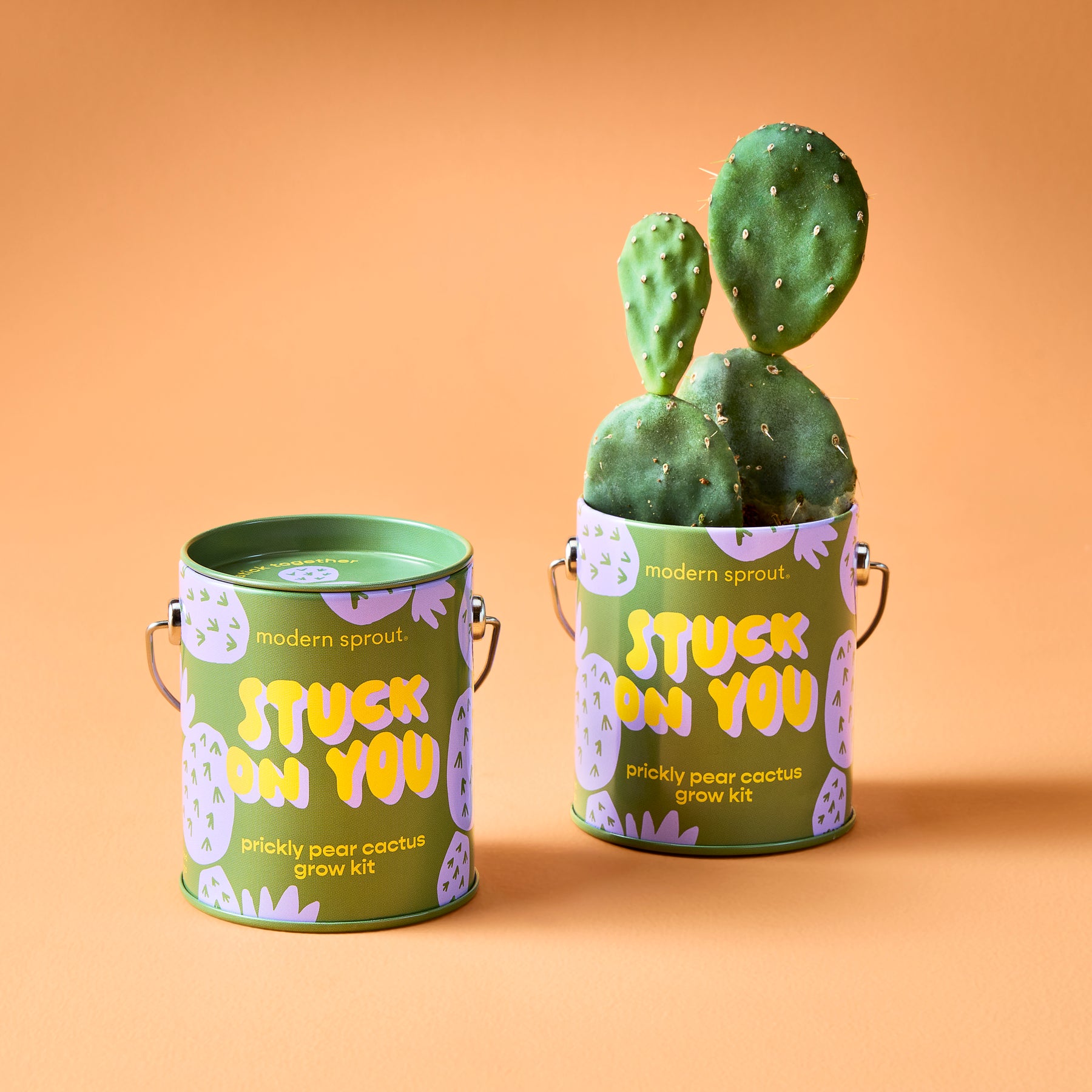 Two green cans featuring colorful designs, one holding a prickly pear cactus grow kit, against an orange background.