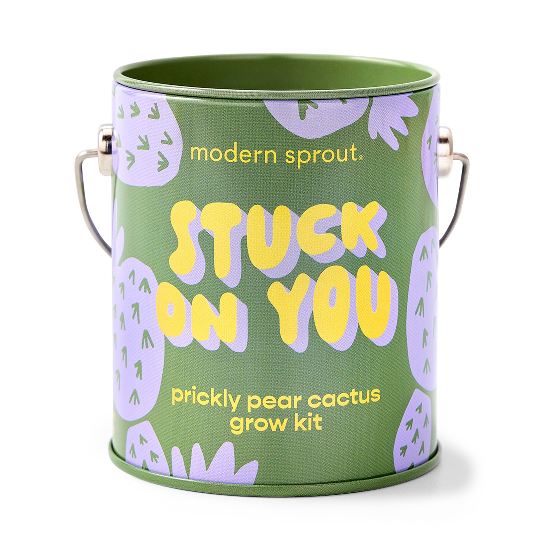Green metal grow kit featuring playful graphics and text "Stuck on You" for a prickly pear cactus.