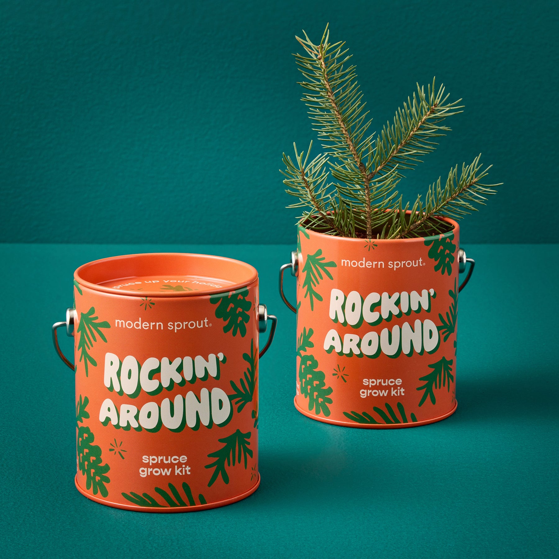 Holiday Complimentary Colors Grow Kits in vibrant orange containers, featuring a spruce plant and festive design elements.