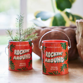 Holiday Complimentary Colors Grow Kits in decorative cans, featuring a spruce grow kit with vibrant red and green design.