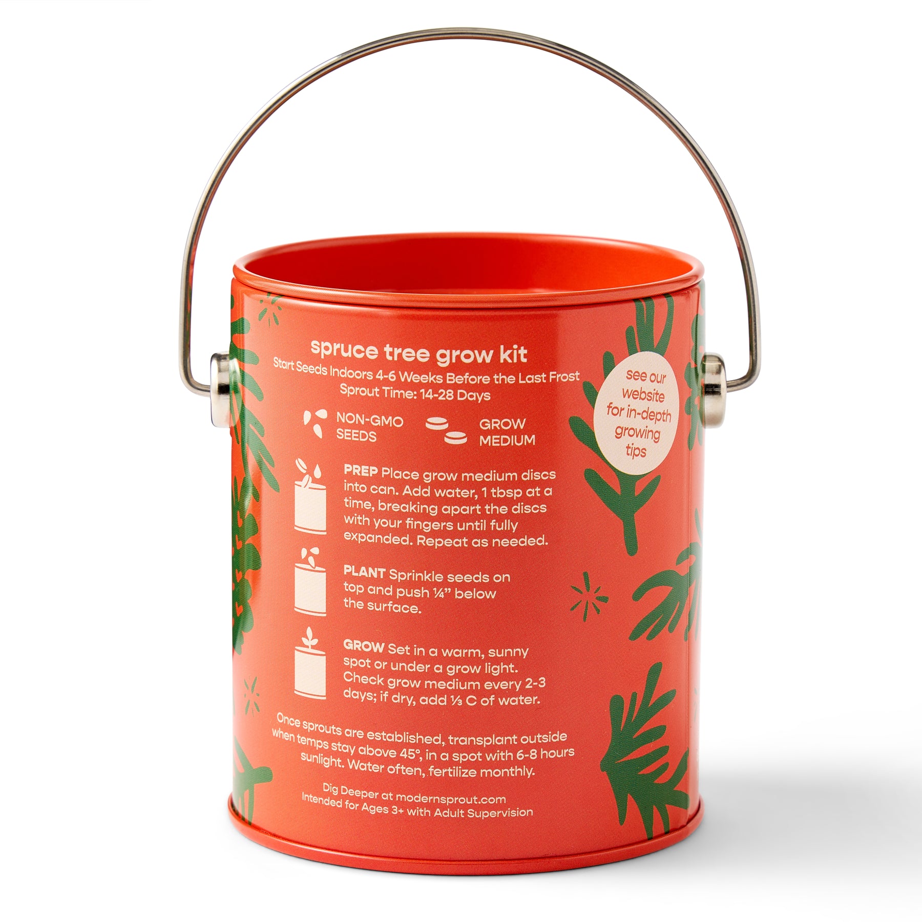 Bright red bucket containing a spruce tree grow kit with planting instructions and care tips for indoor gardening.