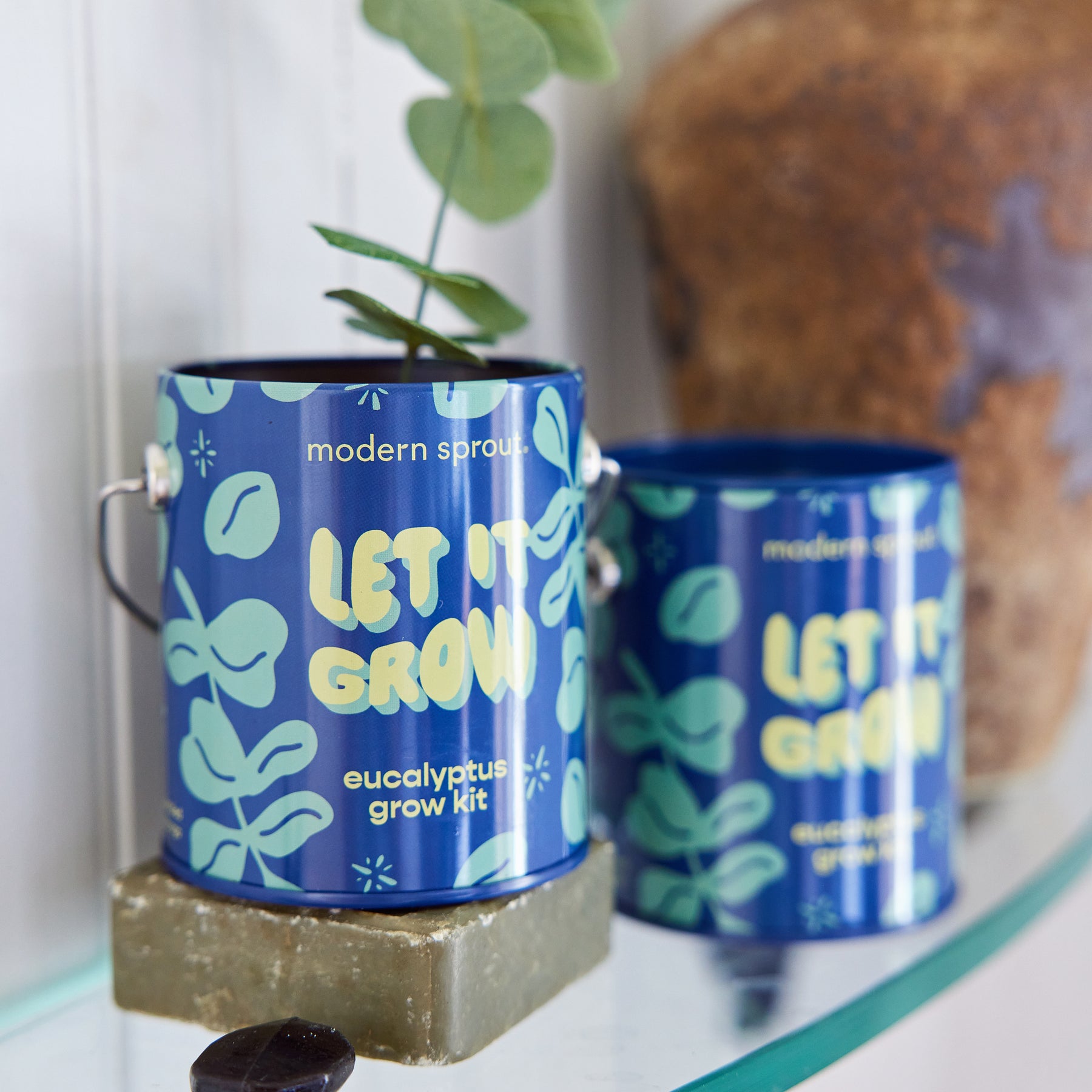 Holiday Complimentary Colors Grow Kits featuring vibrant blue cans labeled "Let It Grow" with eucalyptus plants.