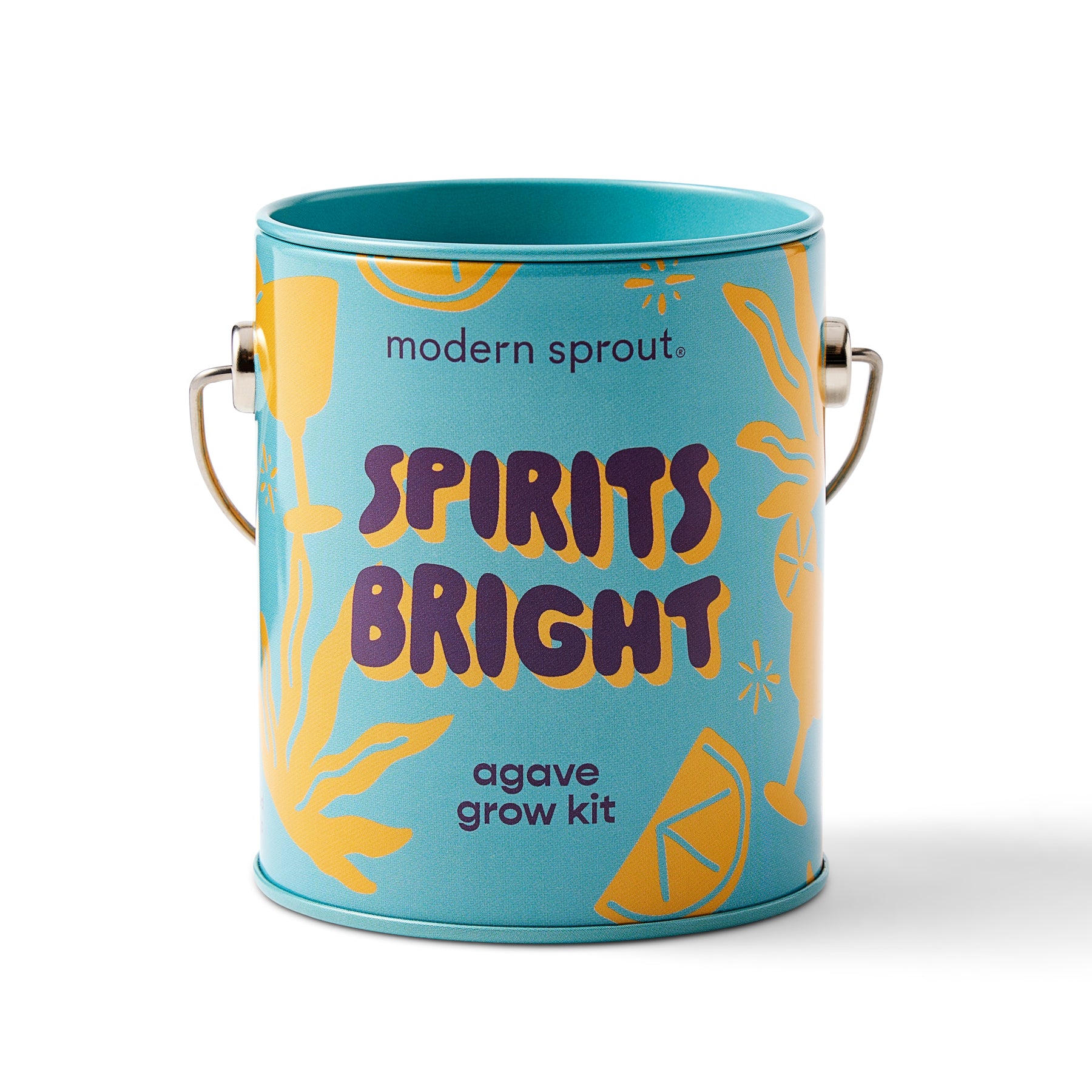 Brightly colored agave grow kit in a decorative can, featuring tropical designs and the phrase "Spirits Bright.