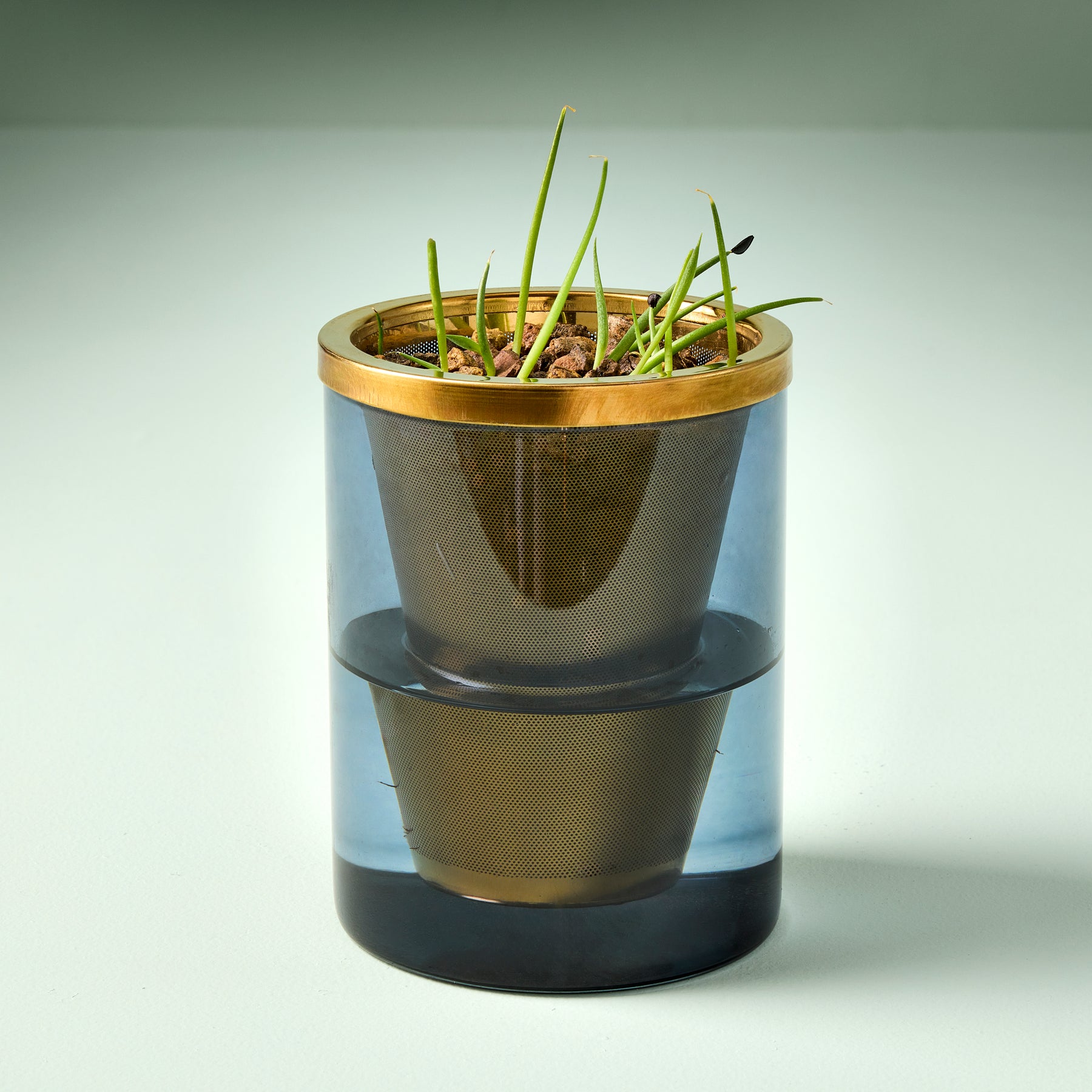 Agave grow kit featuring a clear container with two stacked pots, showcasing young agave plants and soil.