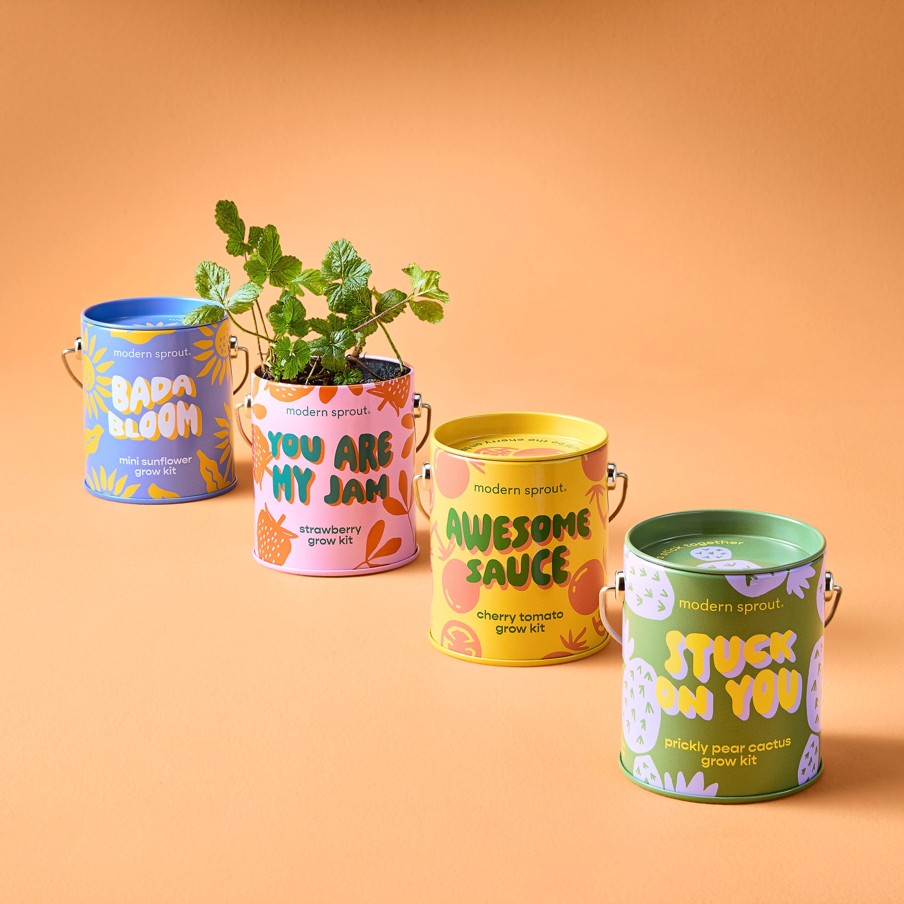 Four colorful grow kits from Modern Sprout, featuring vibrant packaging and small plants, displayed against an orange background.