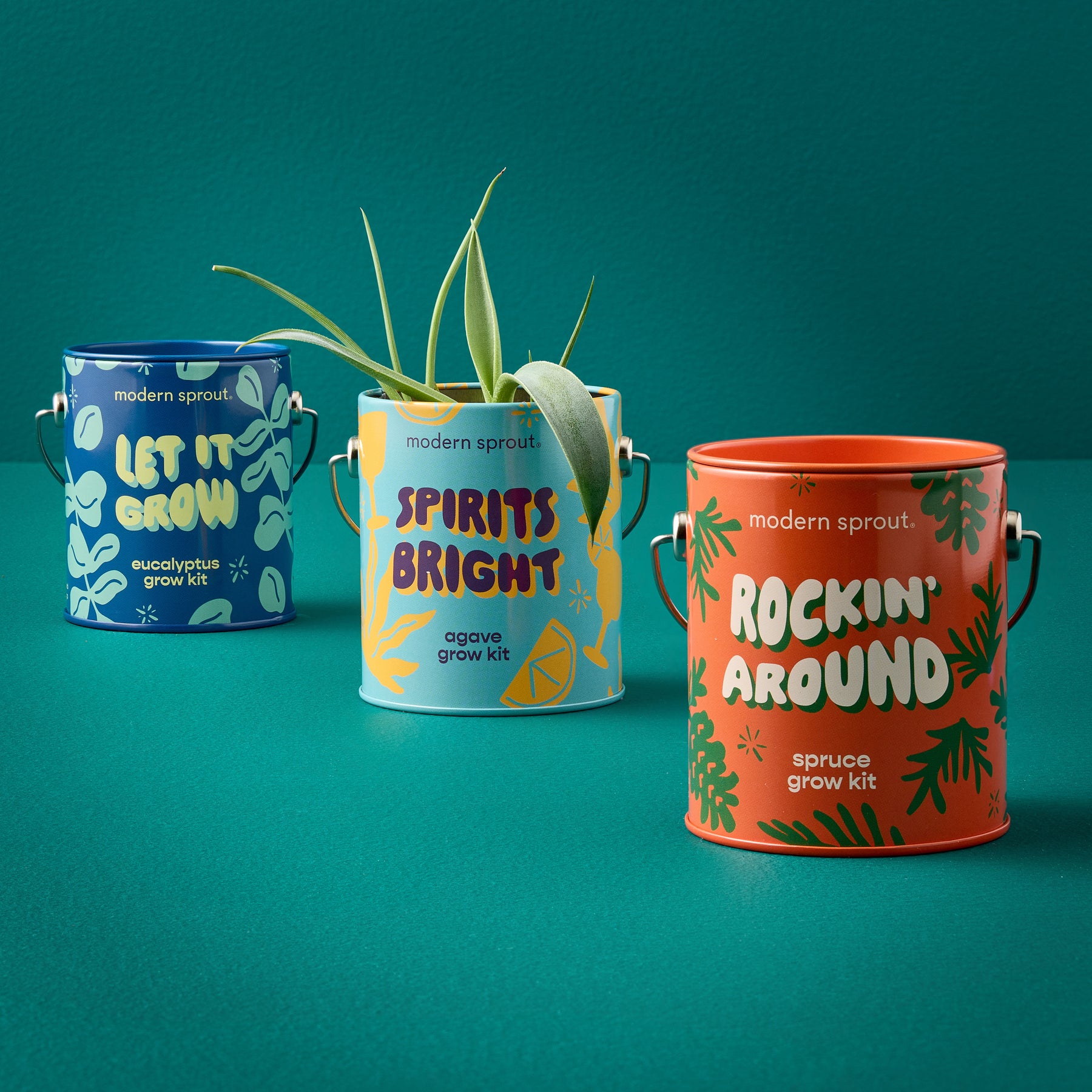 Three colorful grow kits from Modern Sprout: Let It Grow, Spirits Bright, and Rockin' Around, featuring vibrant designs and plants.
