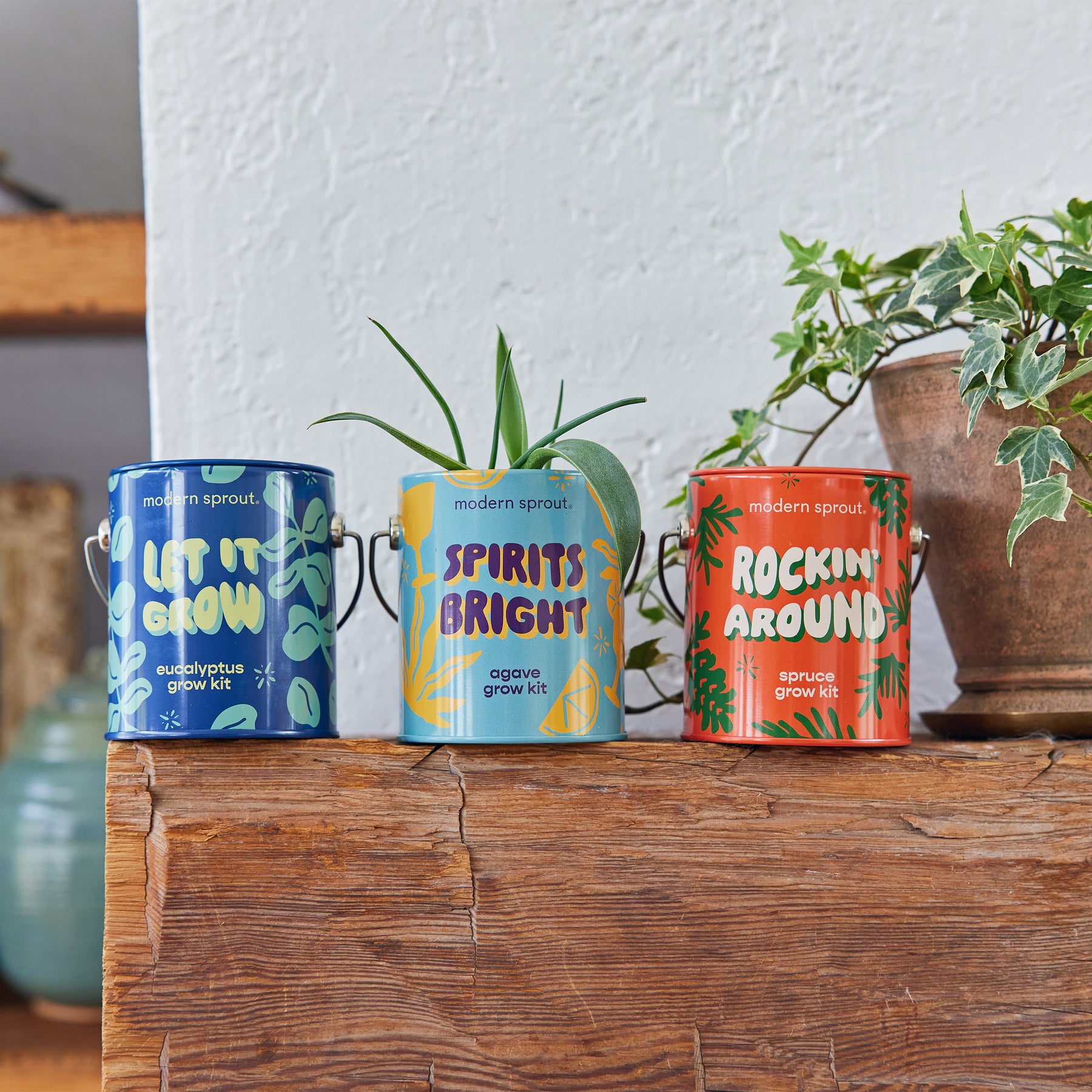 Three colorful grow kits from Modern Sprout: Lift & Grow, Spirits Bright, and Rockin' Around, displayed on a wooden shelf.