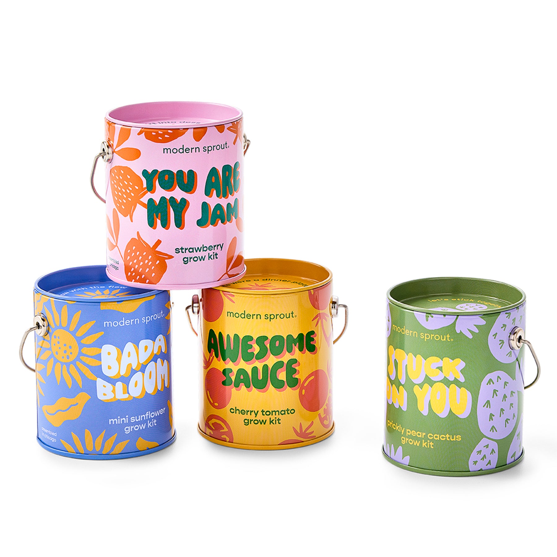 Four colorful grow kits in decorative cans: strawberry, cherry tomato, mini sunflower, and prickly pear cactus.