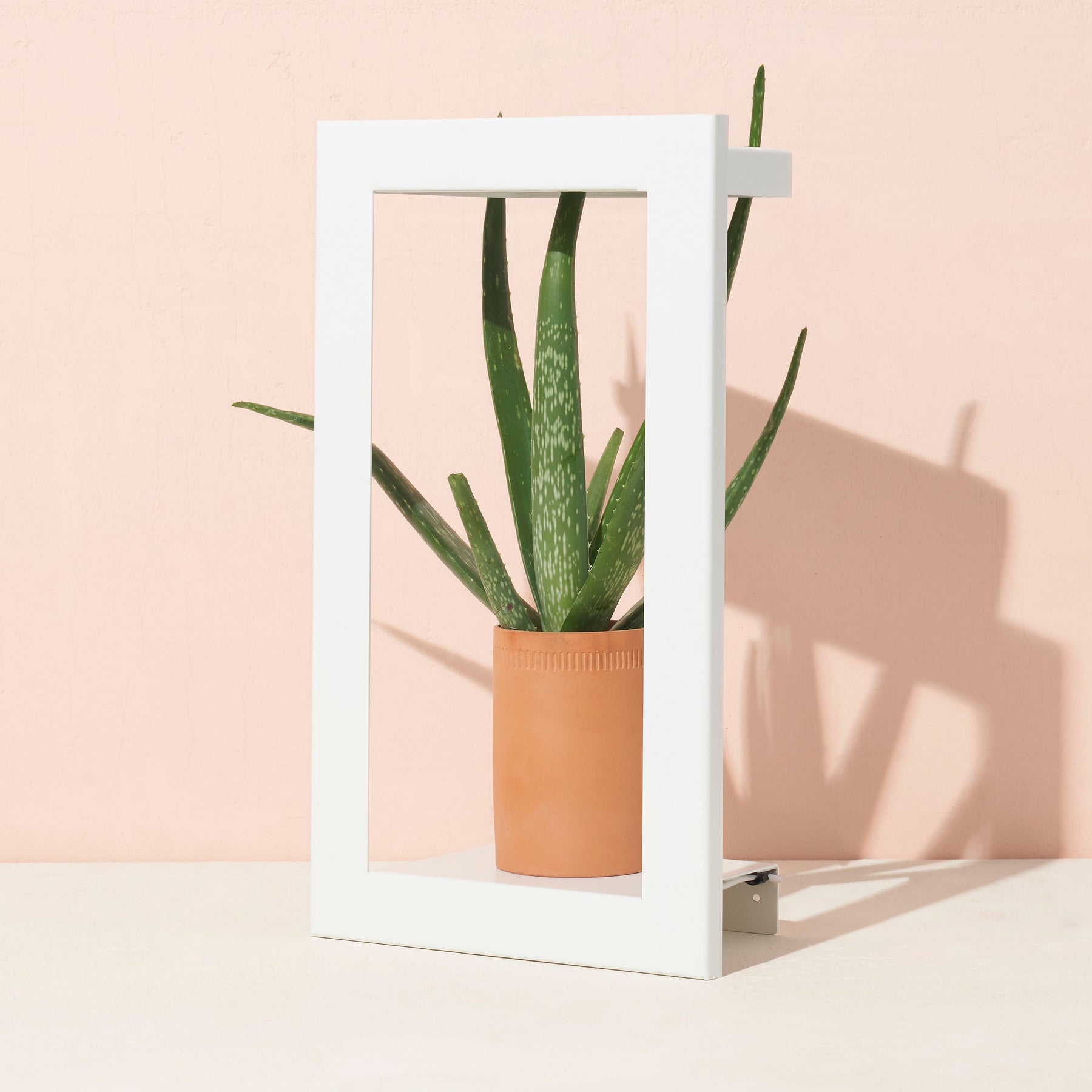 Refurb Smart Portrait Growframe