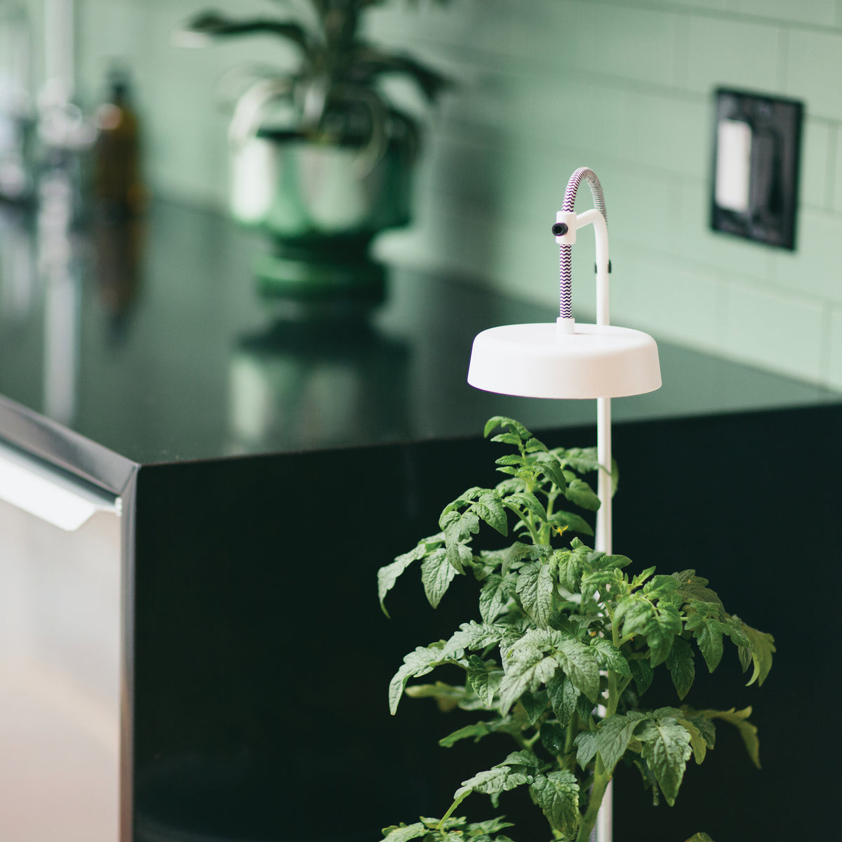 Refurb Smart Pendant Growlight - Matte White