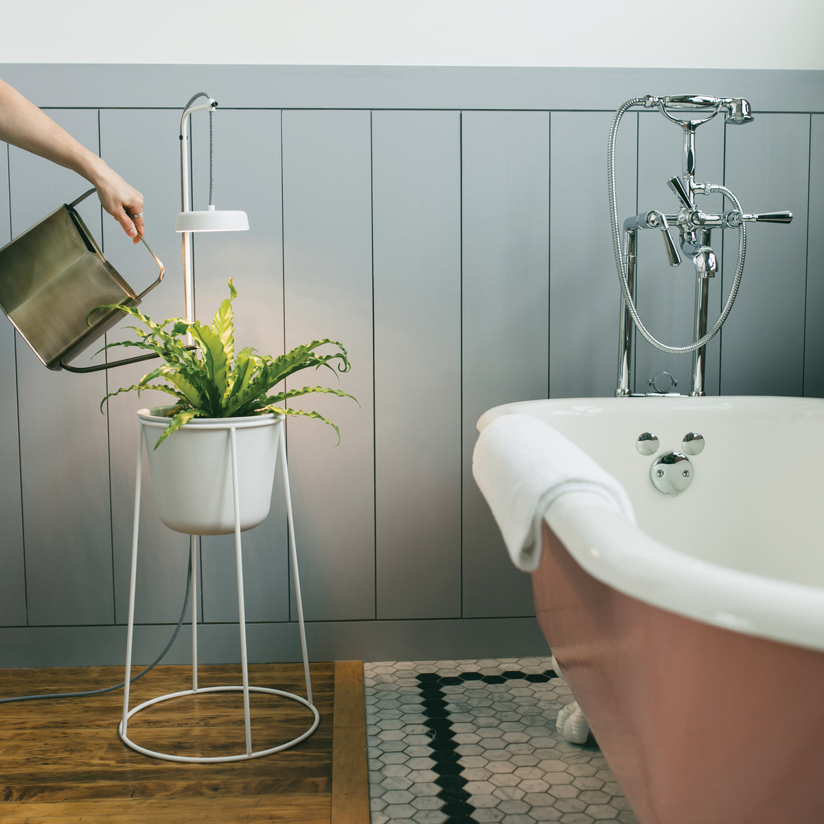Indoor hydroponic plant in a white pot with built-in grow light, next to a bathtub.