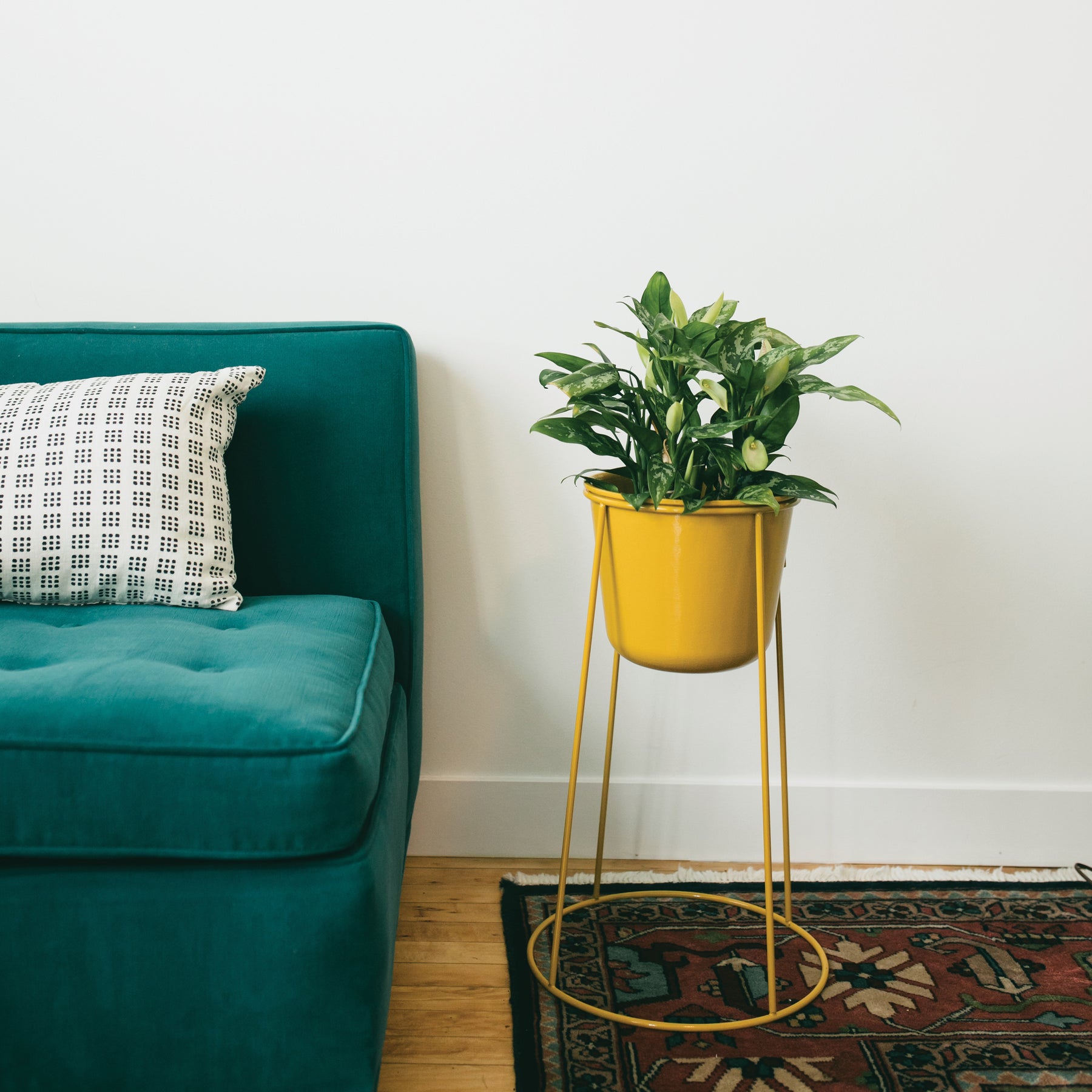 Metal Planter & Stand