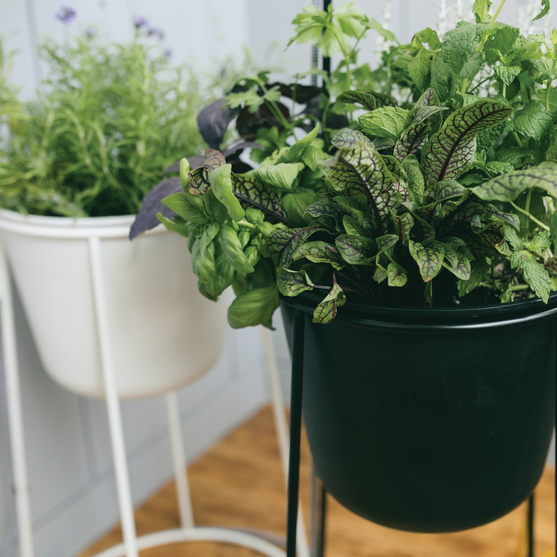 Metal Planter & Stand