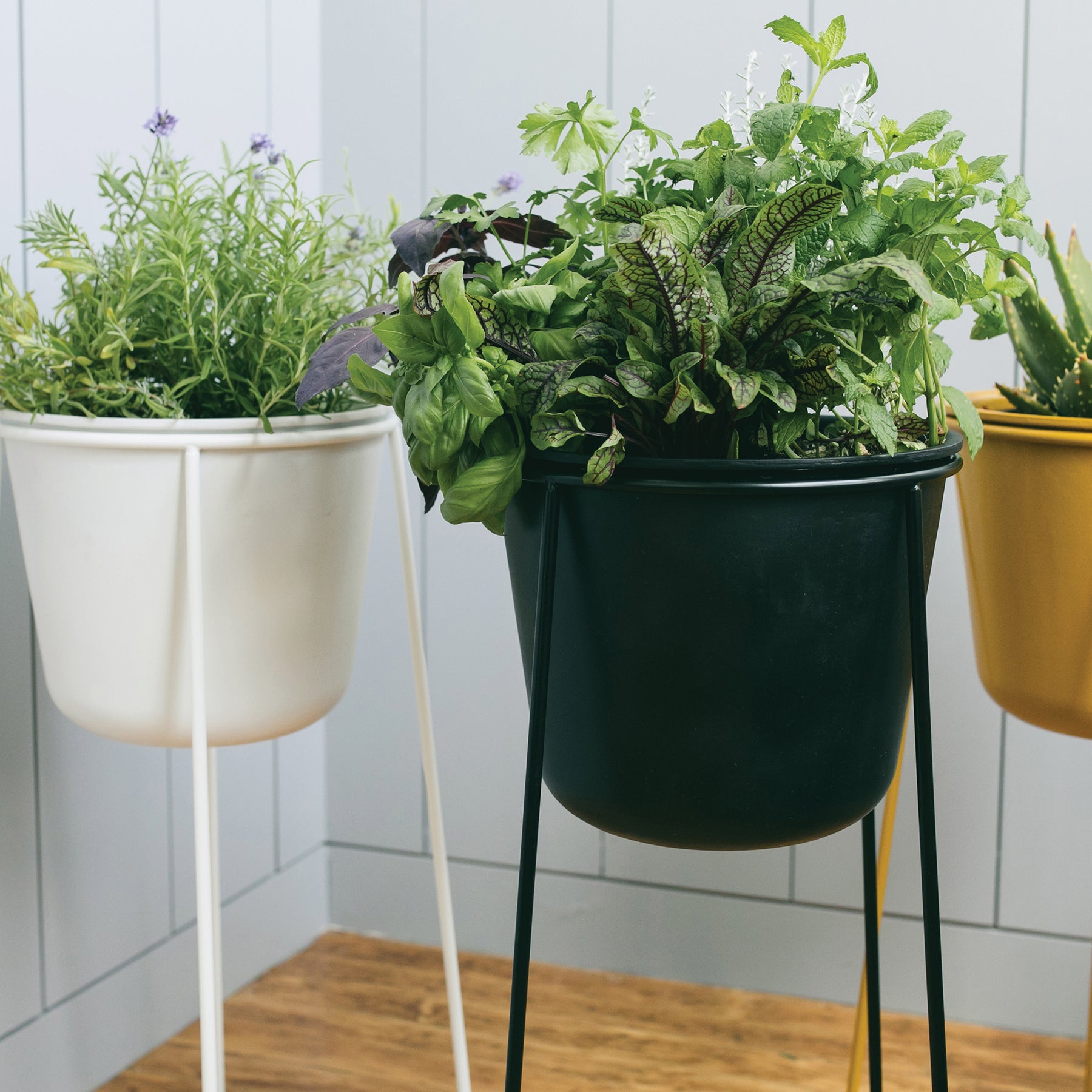 Metal Planter & Stand