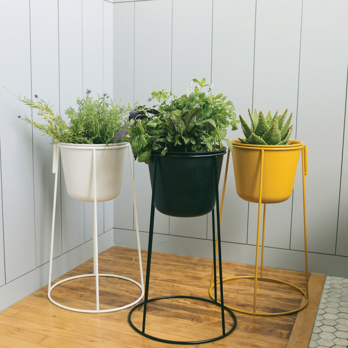 Metal Planter & Stand