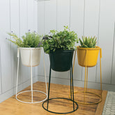 Metal Planter & Stand