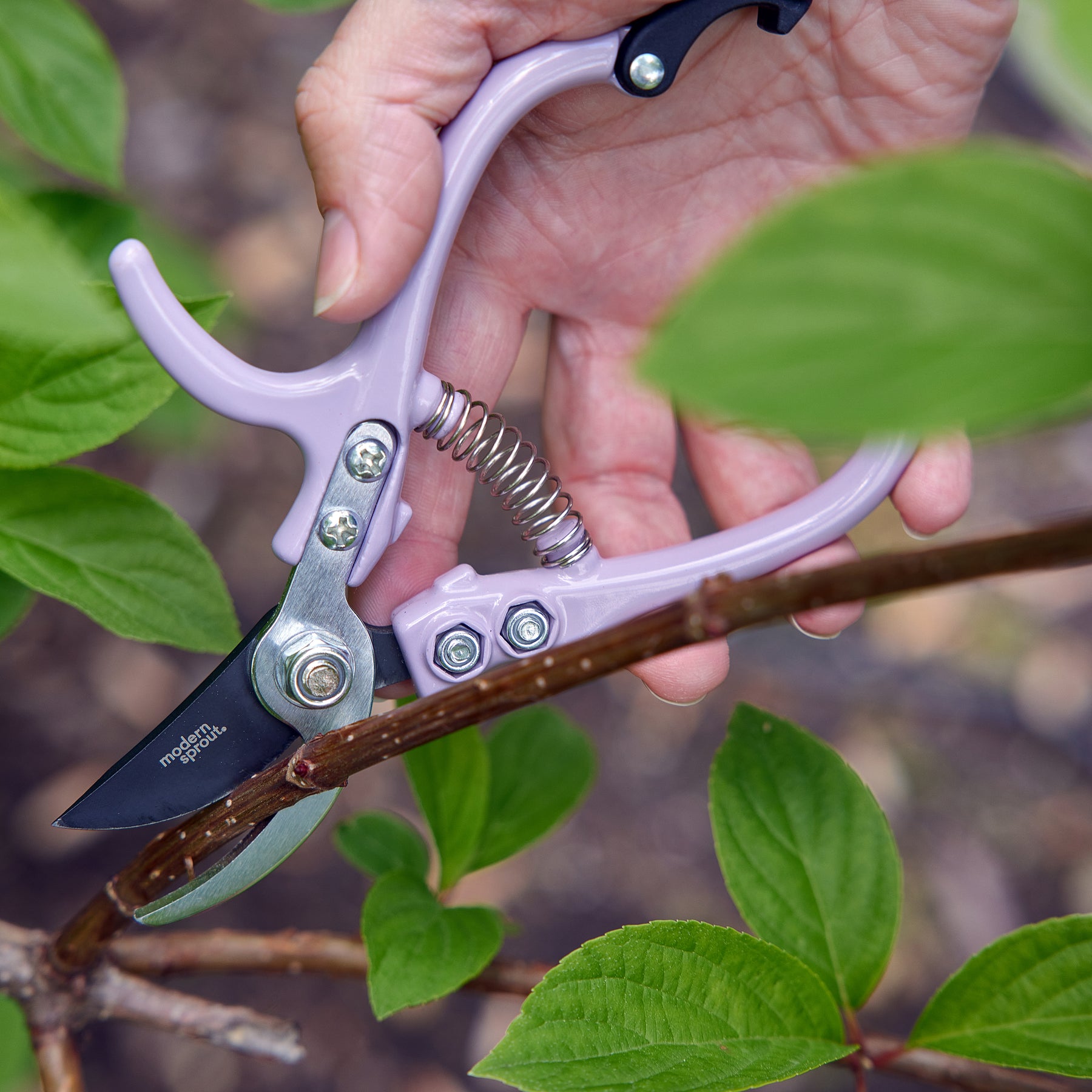 A hand using gardening shears to prune a branch, showcasing the tool's sharp blade and ergonomic design.
