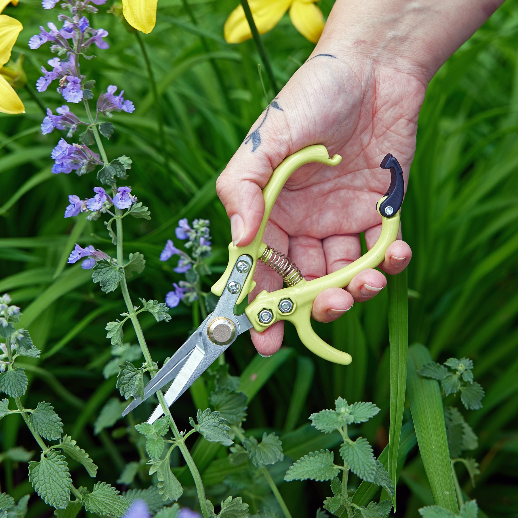 A hand holding gardening shears, poised to prune green plants with purple flowers in the background.