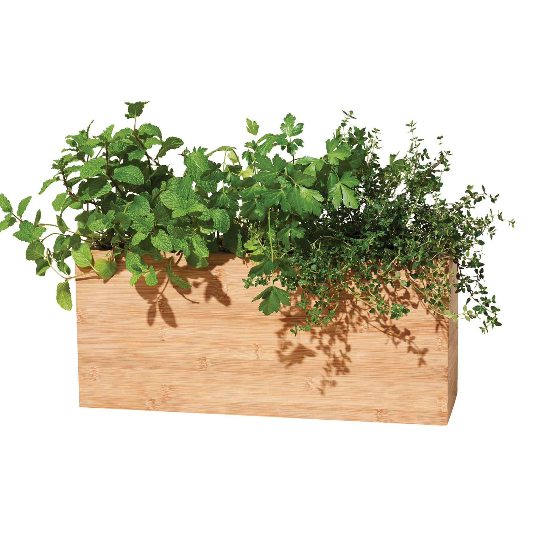 Bamboo Planter Box