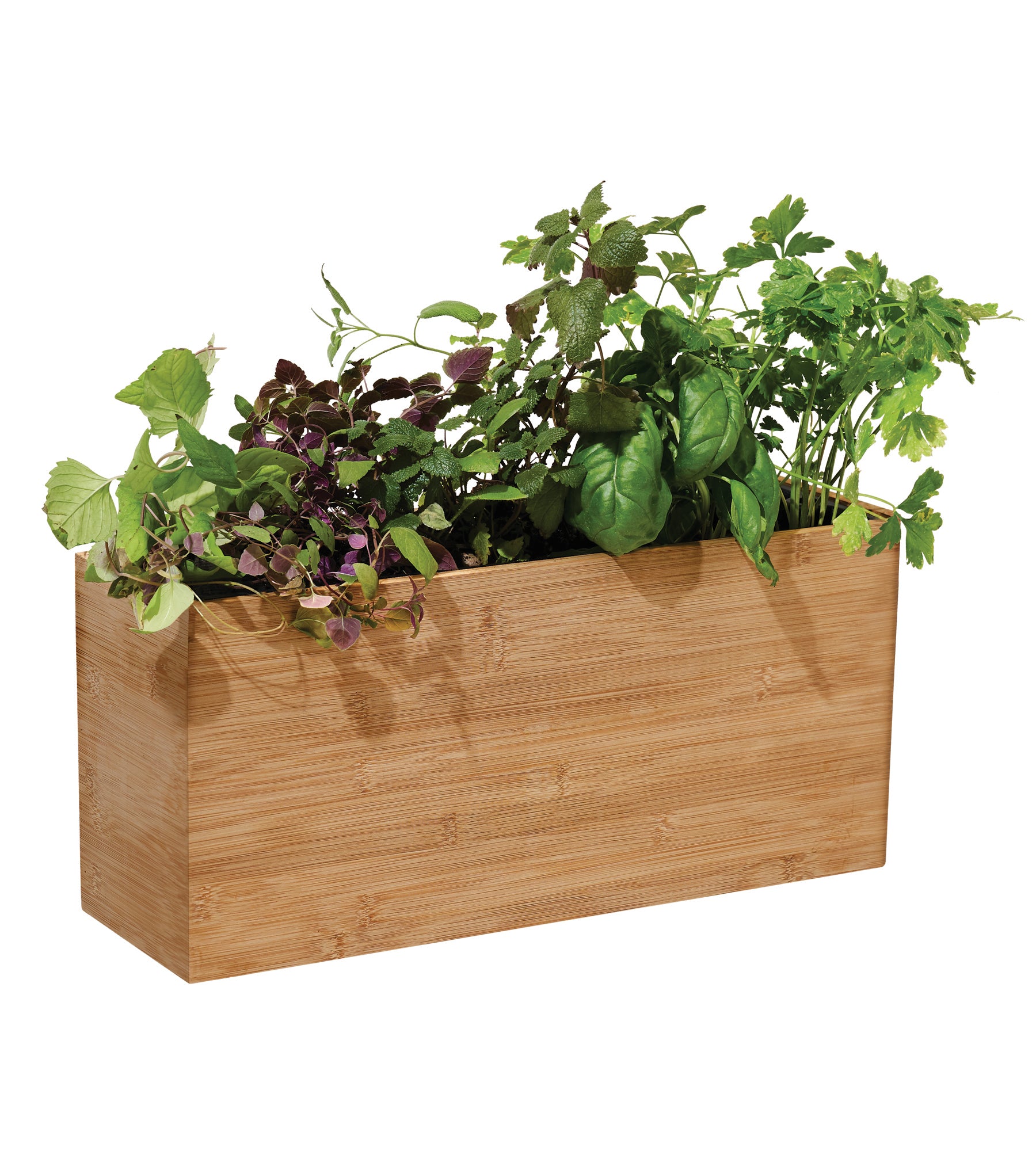 Bamboo Planter Box