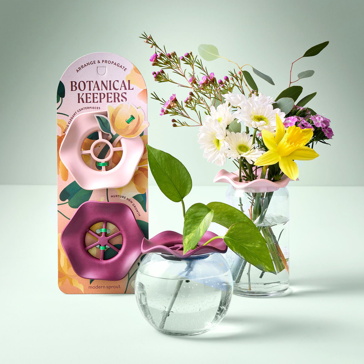 Two Botanical Keepers in packaging, designed for arranging and propagating plants, displayed with vases and flowers.