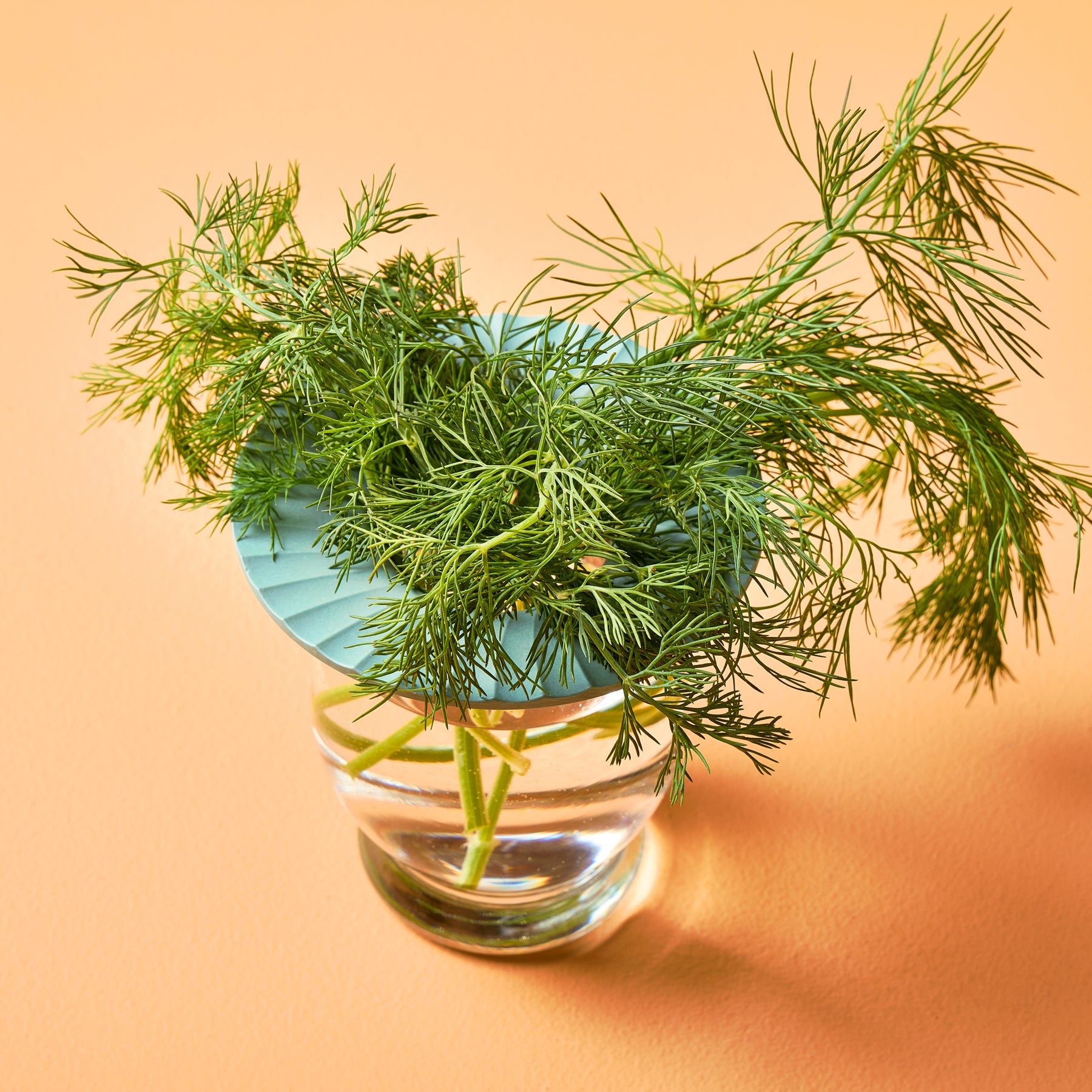 Two Produce Keepers in use, featuring fresh dill sprigs in a glass of water, set against an orange background.