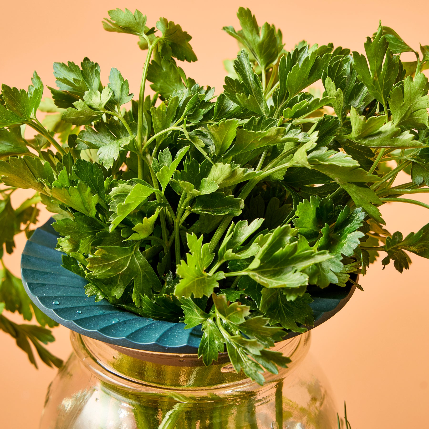 Two Produce Keepers in use, featuring fresh parsley arranged in a jar, showcasing their ability to keep herbs fresh.