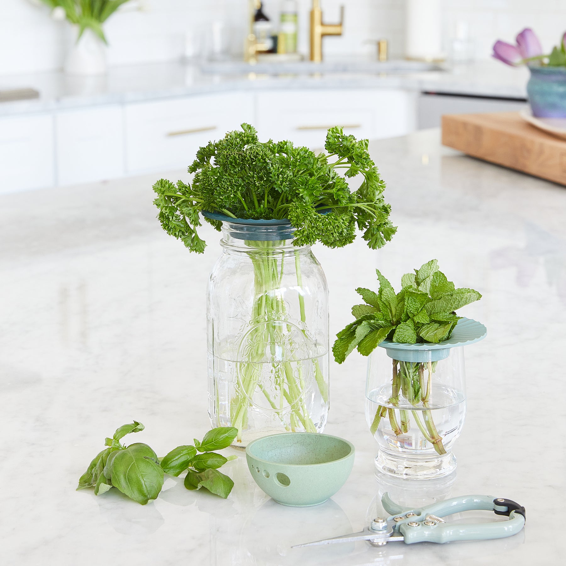Two glass produce keepers with fresh herbs—parsley and mint—sitting in water on a marble countertop, alongside basil and gardening shears.