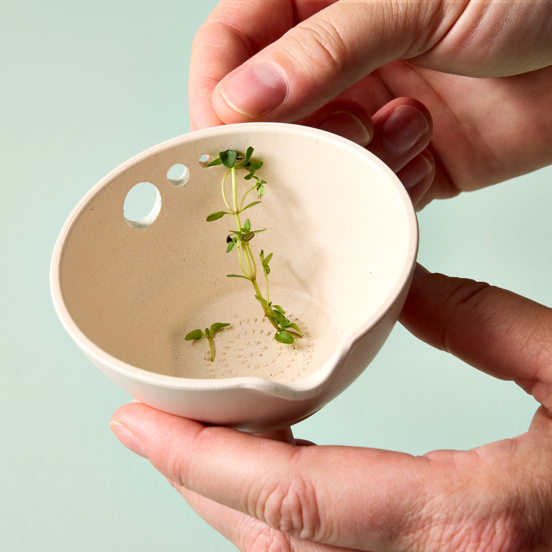 A person holds a small, beige prep dish with a drainage hole, featuring fresh herbs inside.