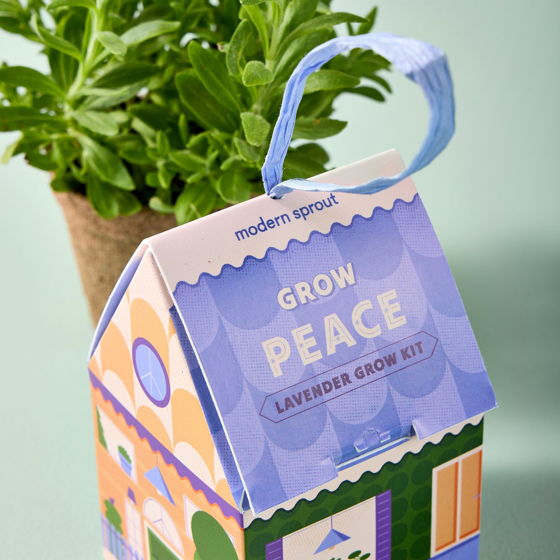 Lavender grow kit in a decorative house-shaped box, designed for indoor gardening enthusiasts.