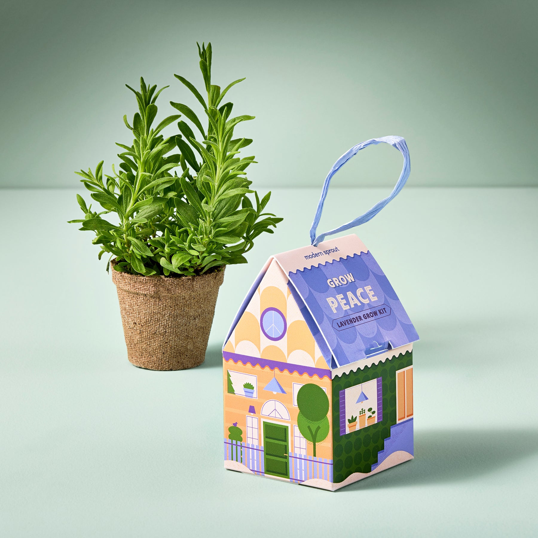Home Grown Ornaments lavender grow kit in a house-shaped box next to a small potted lavender plant.
