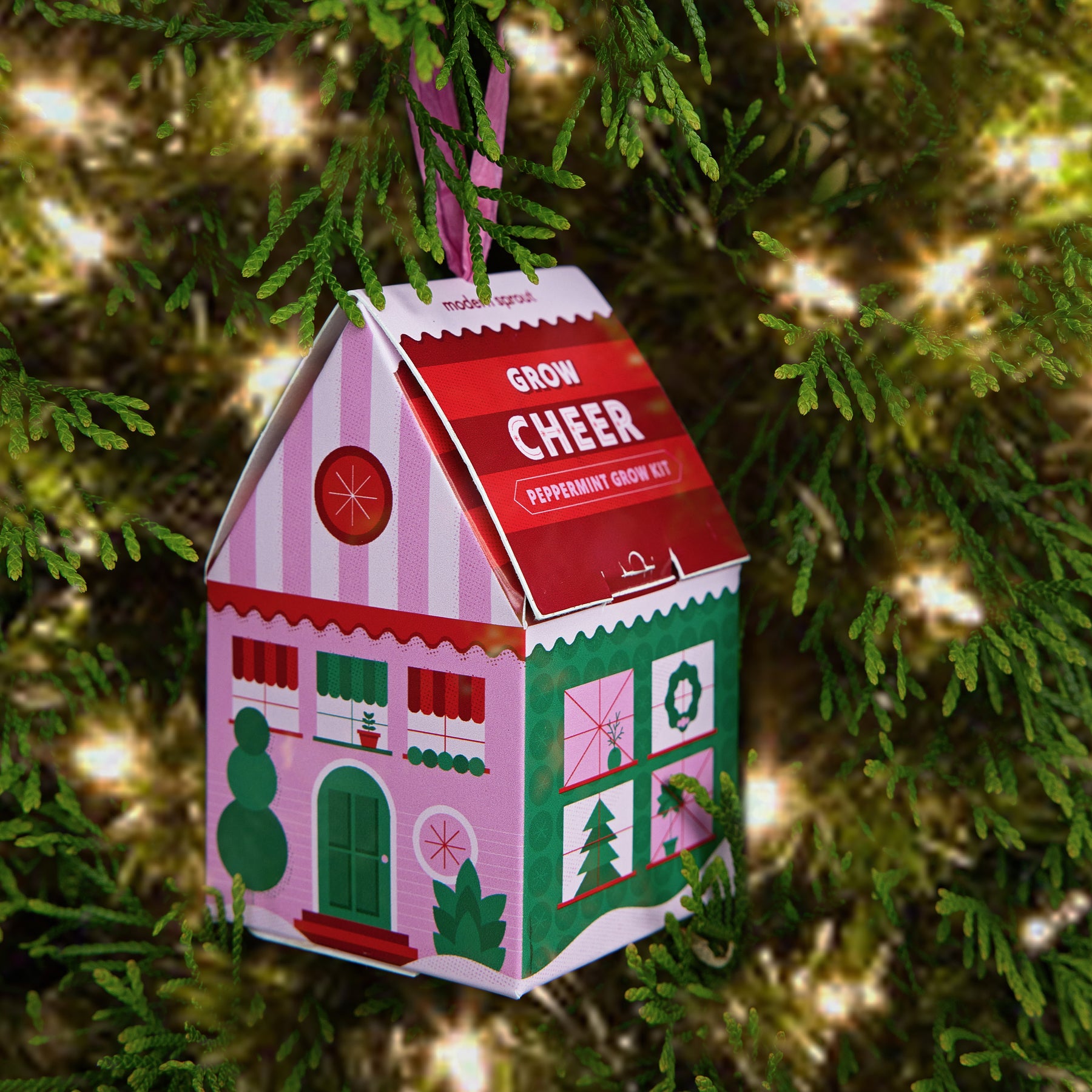 Colorful peppermint grow kit shaped like a house ornament, hanging on a Christmas tree with twinkling lights.