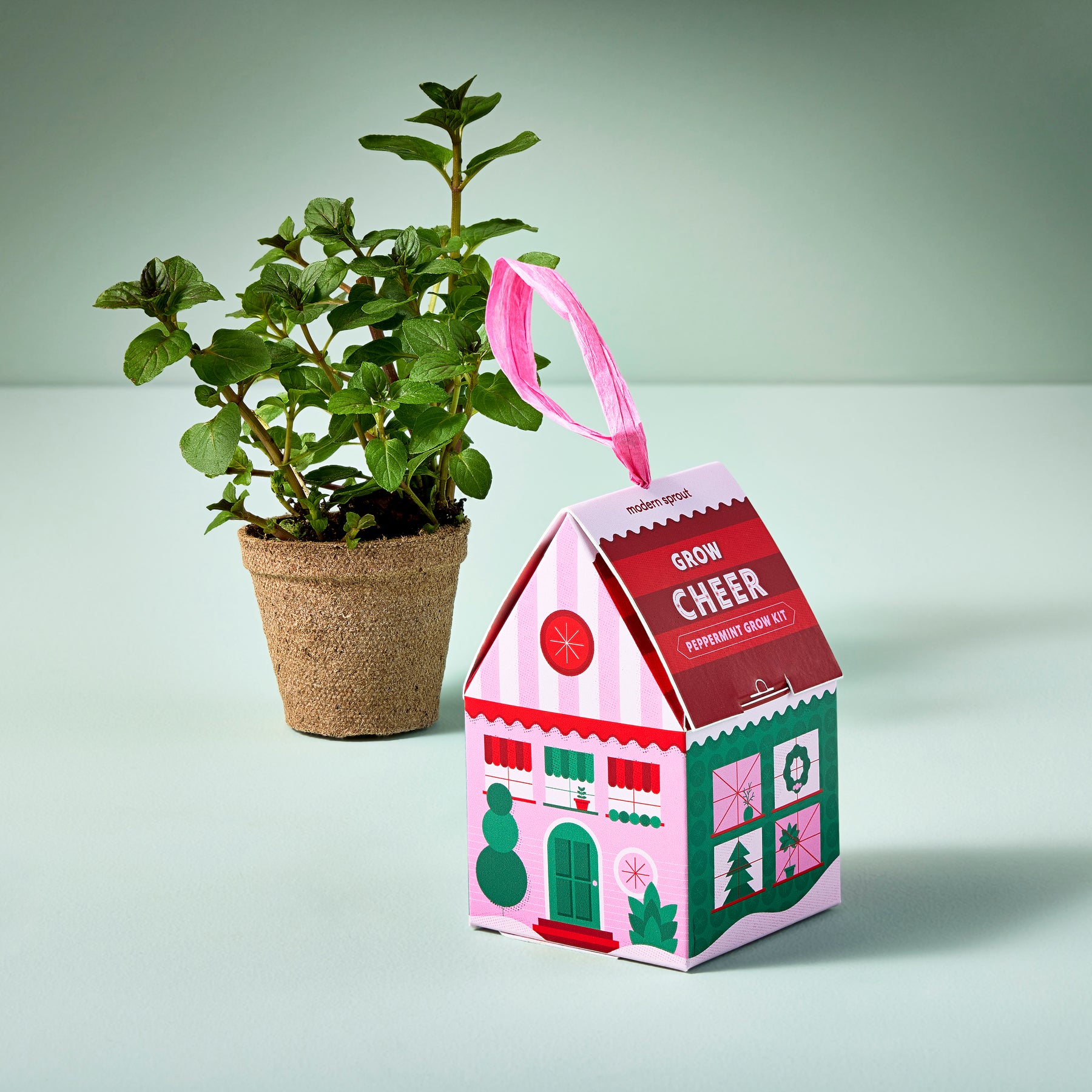 Colorful ornament box labeled "Grow Cheer" with a small potted peppermint plant, perfect for indoor gardening.