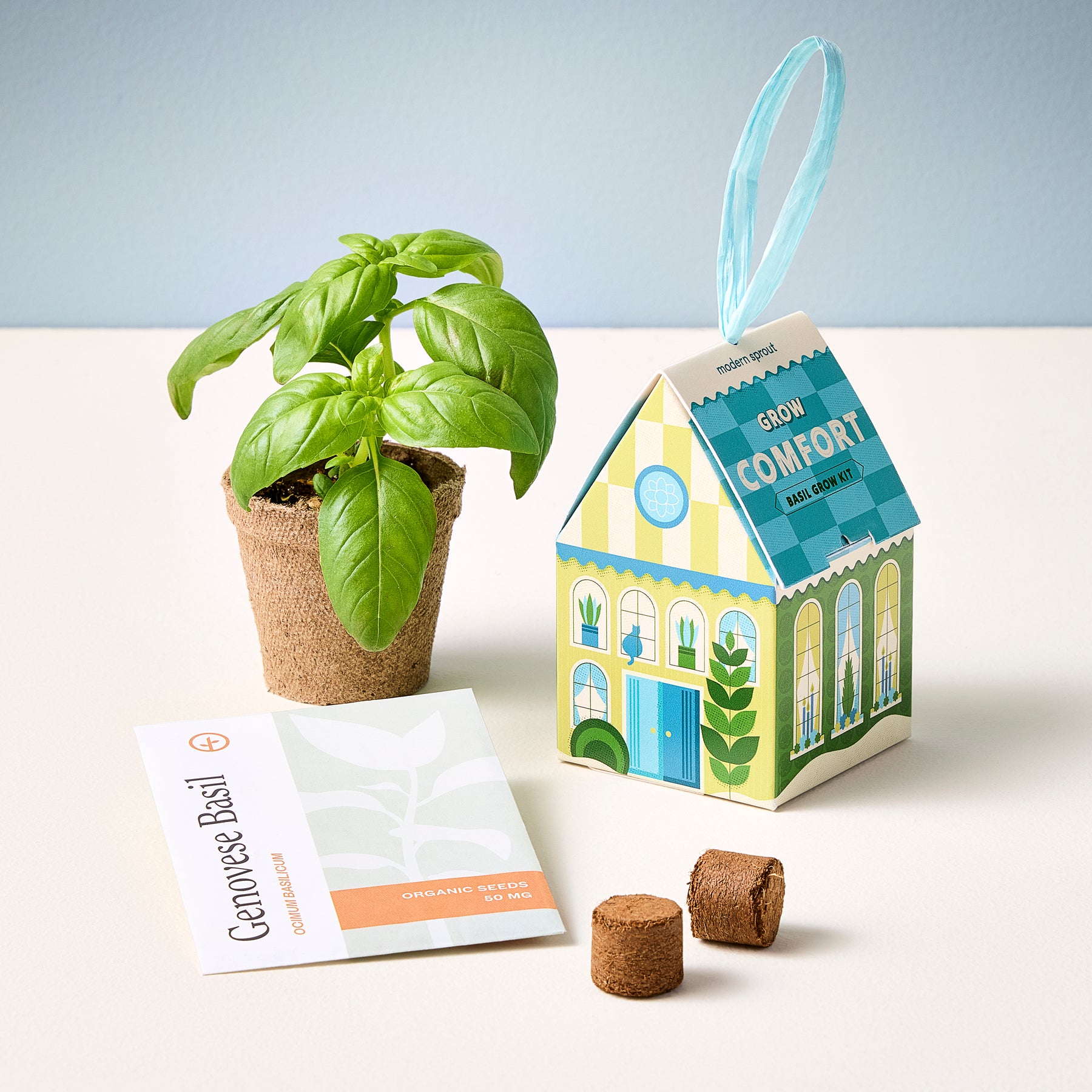 Home Grown Ornaments kit featuring a basil plant in a biodegradable pot and seed packets for indoor gardening.