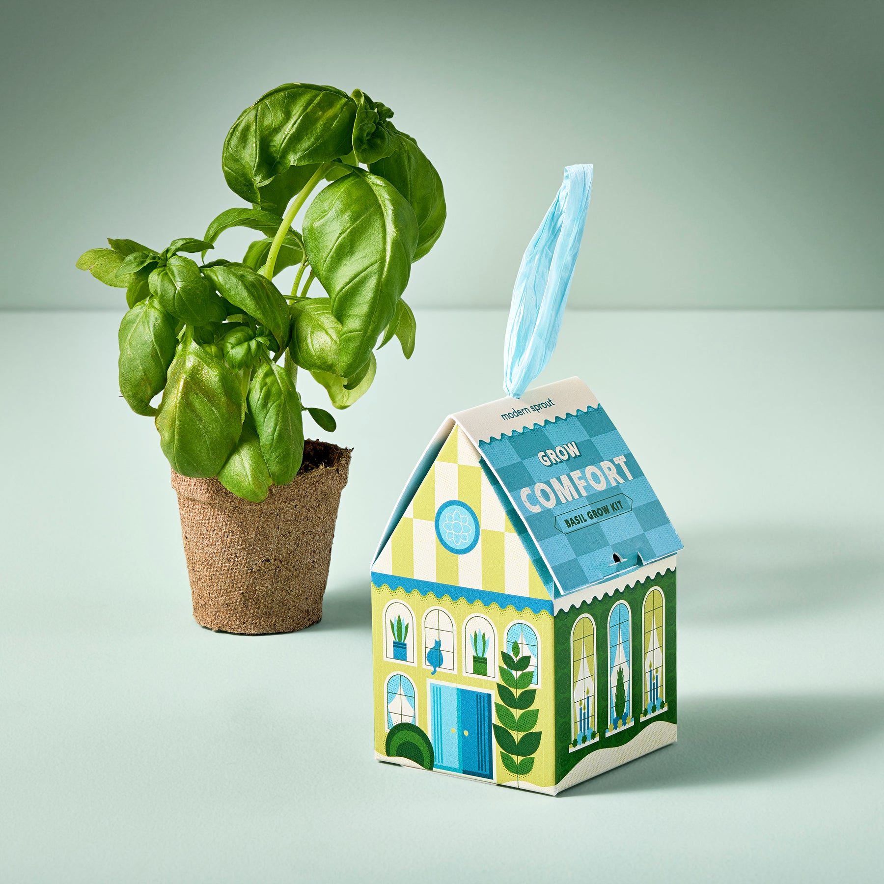 Home Grown Ornaments kit featuring a basil plant in a biodegradable pot next to a colorful house-shaped packaging.