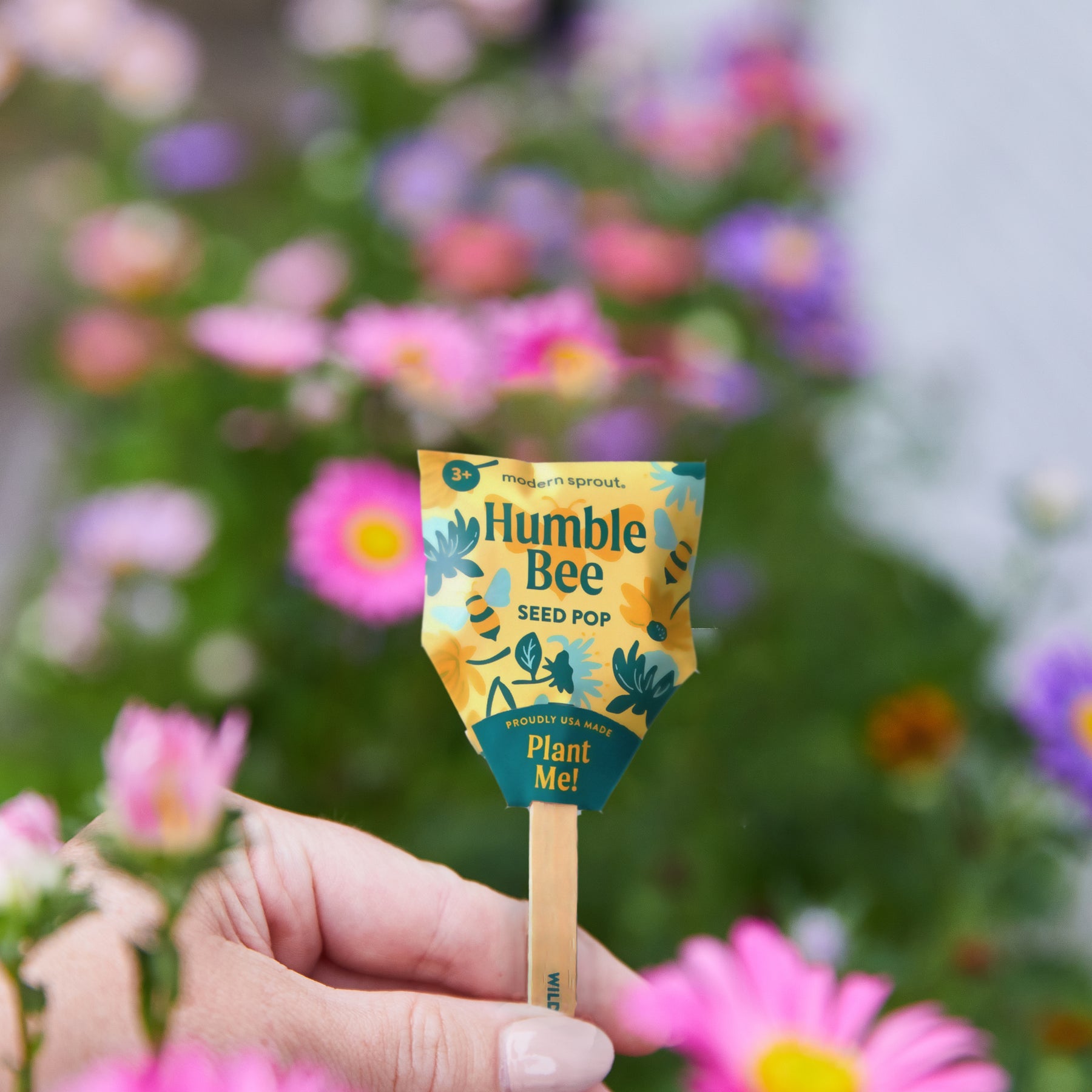 Hand holding a Humble Bee Seed Pop surrounded by colorful flowers, promoting pollinator-friendly planting.