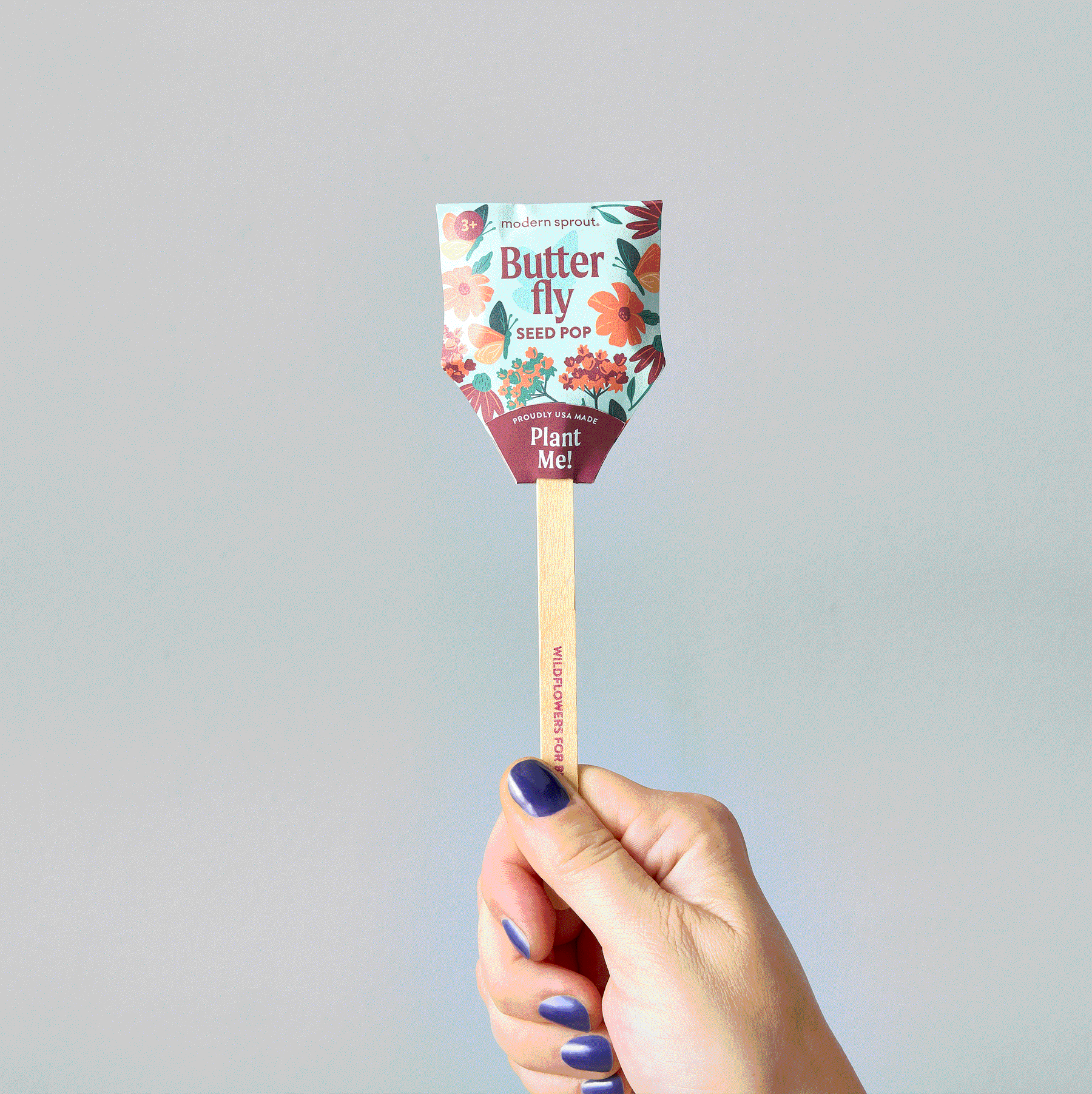 Hand holding a Seed Pop labeled "Butterfly" from Modern Sprout, featuring floral designs and planting instructions.