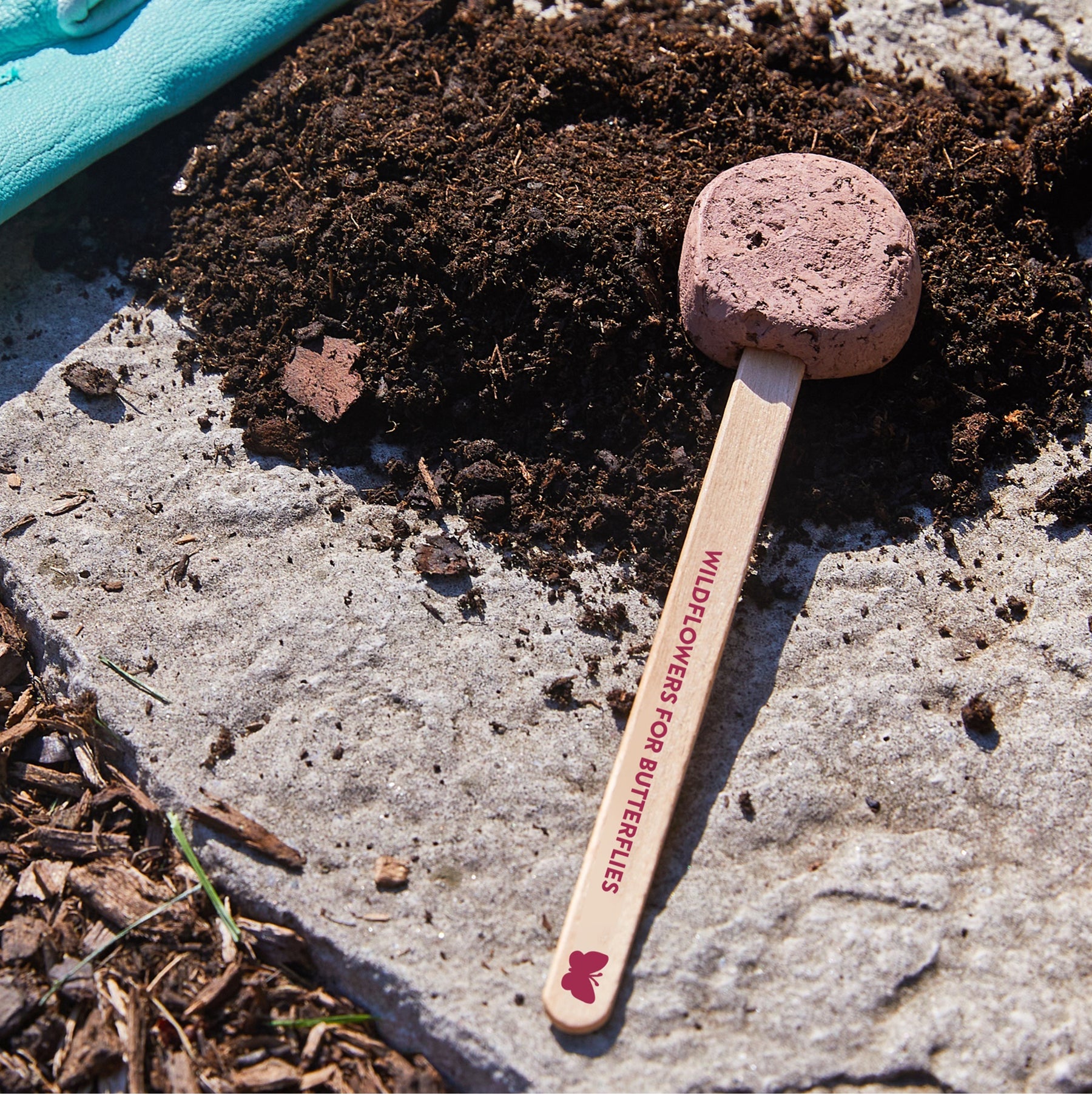 Seed Pops for butterflies, featuring a clay-coated seed ball on a wooden stick, resting on soil in a garden setting.
