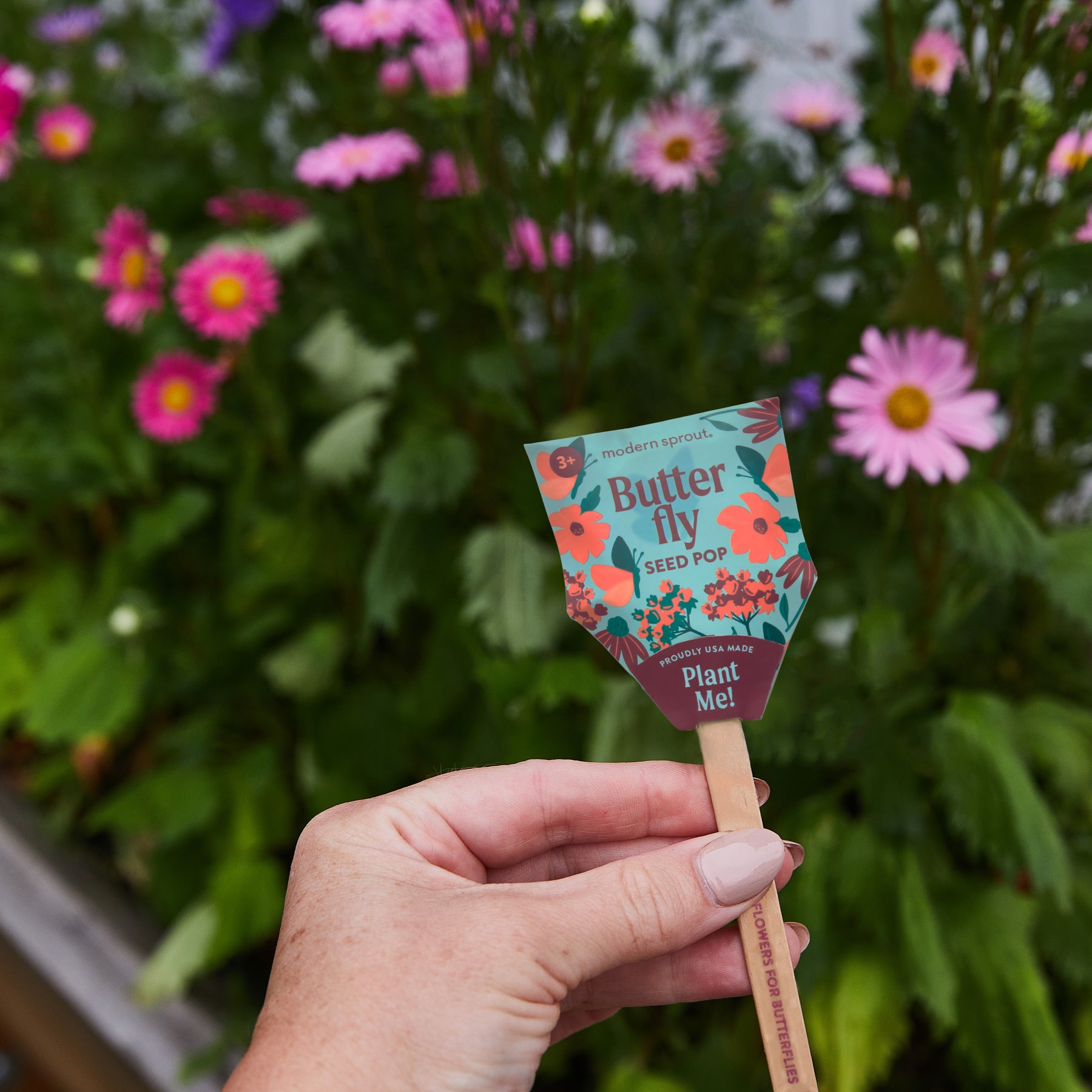 Hand holding a Butterfly Seed Pop with vibrant flower graphics, set against a backdrop of blooming flowers.