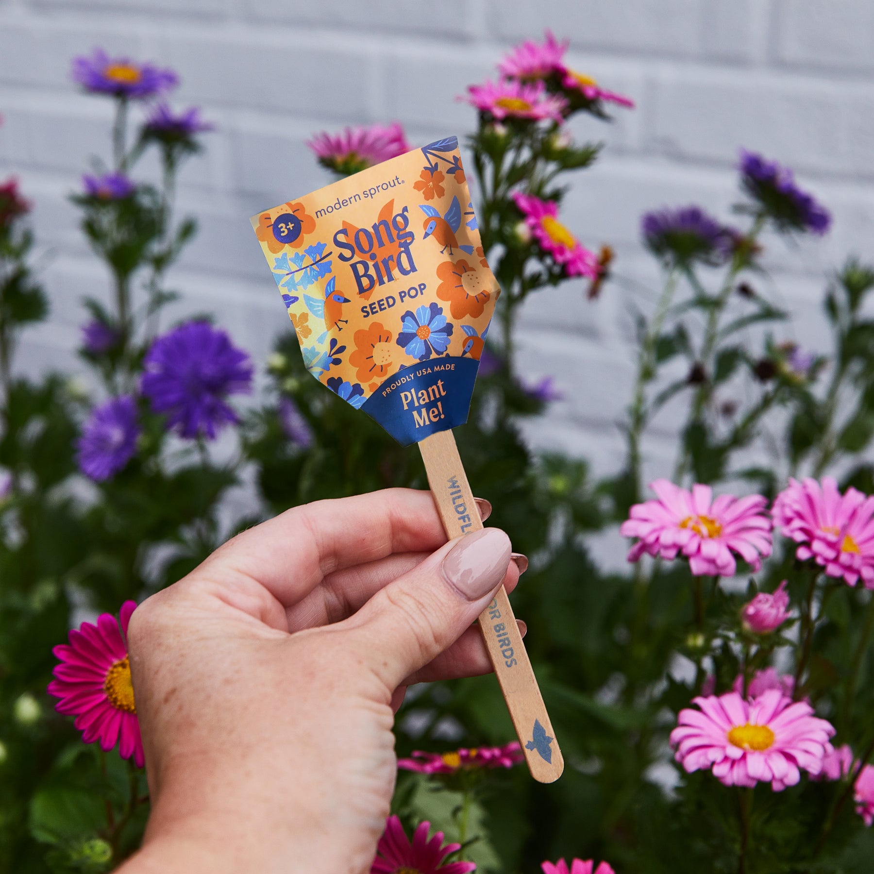 Hand holding a colorful seed pop labeled "Song Bird" among vibrant flowers, promoting pollinator-friendly planting.