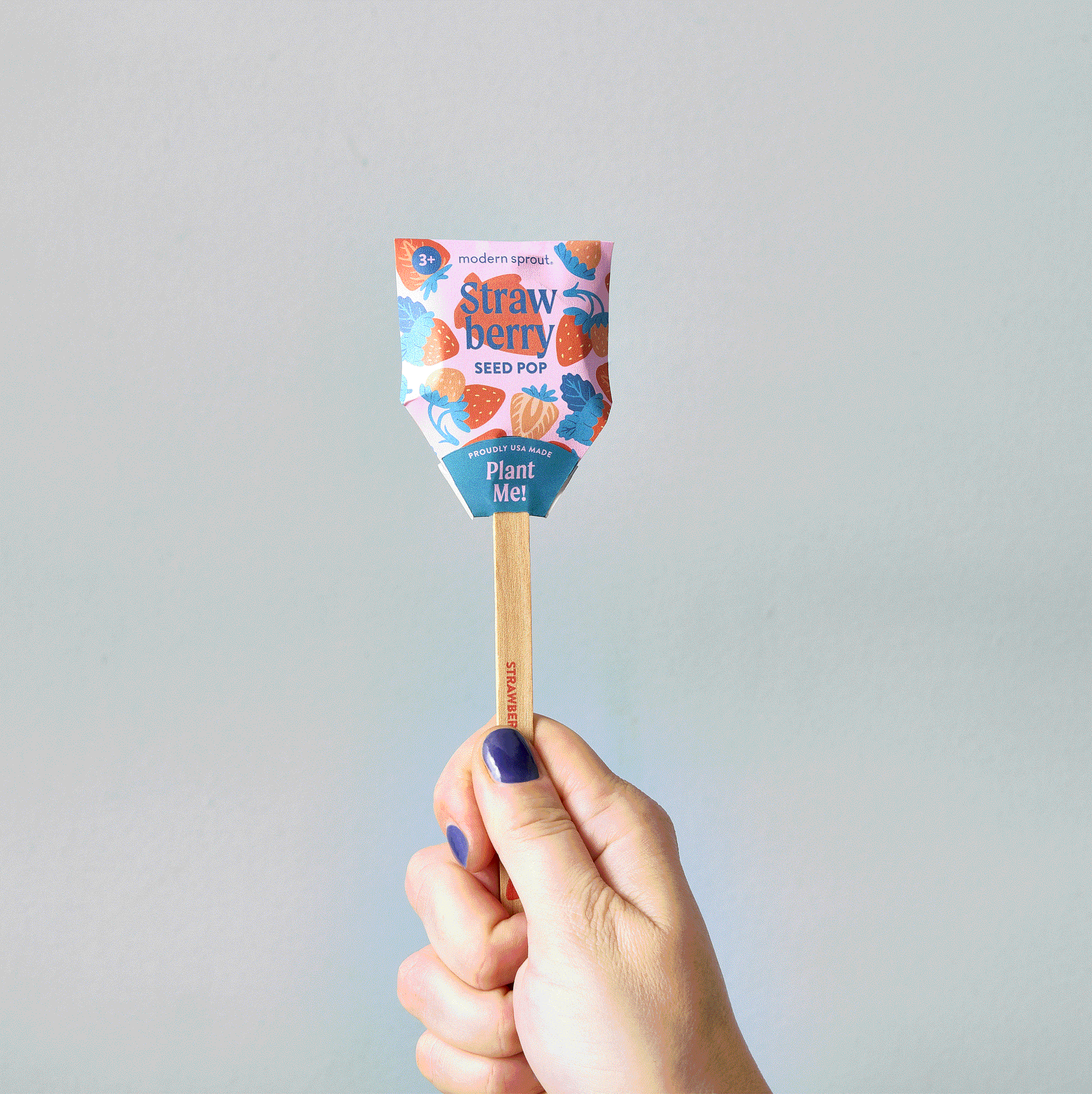 Hand holding a colorful Seed Pop with a strawberry design, featuring planting instructions on a wooden stick against a light background.