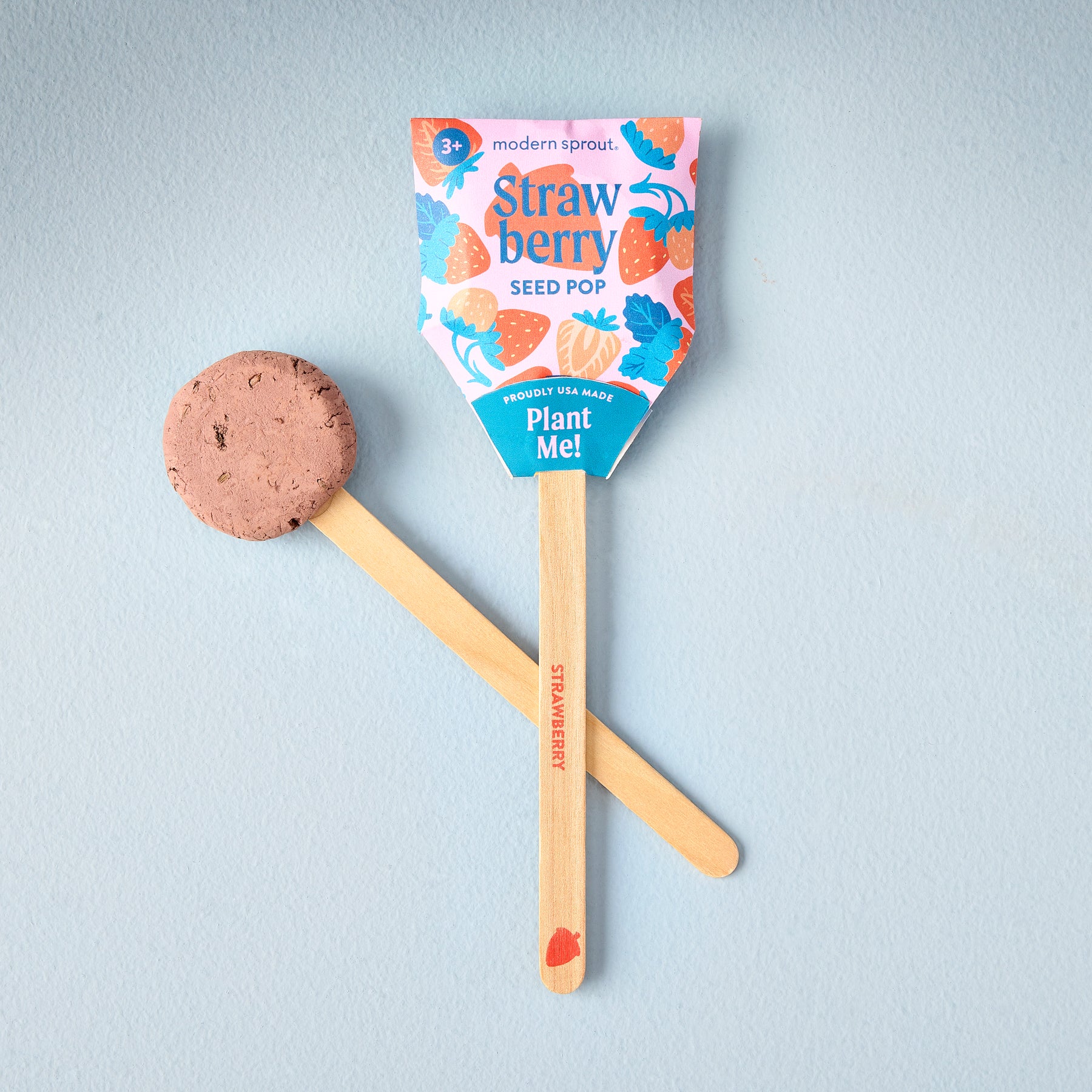 Strawberry seed pop with a wooden stick, featuring colorful packaging and a round seed disc for planting.
