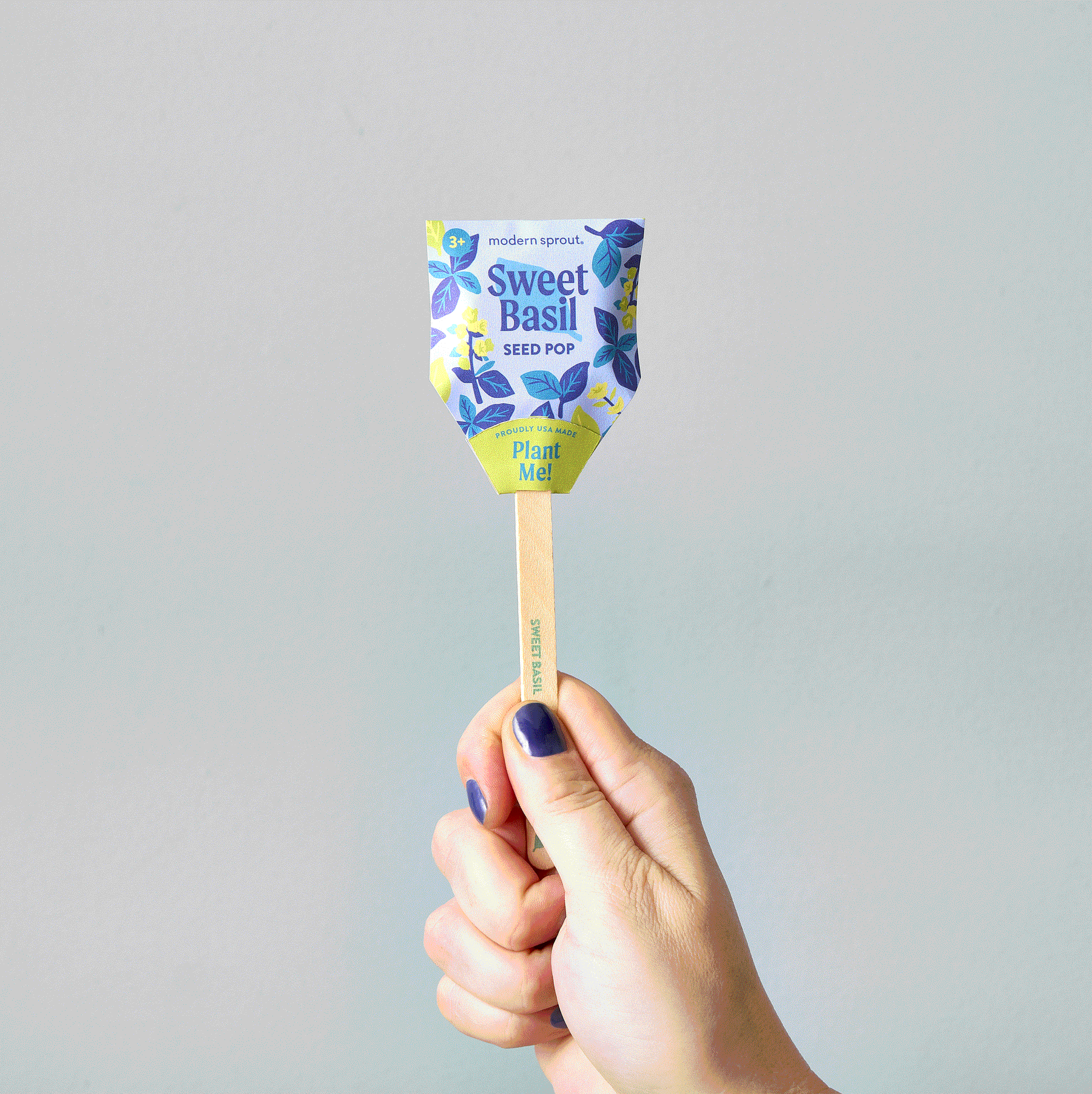 Hand holding a Sweet Basil Seed Pop by Modern Sprout, featuring vibrant packaging with floral designs.