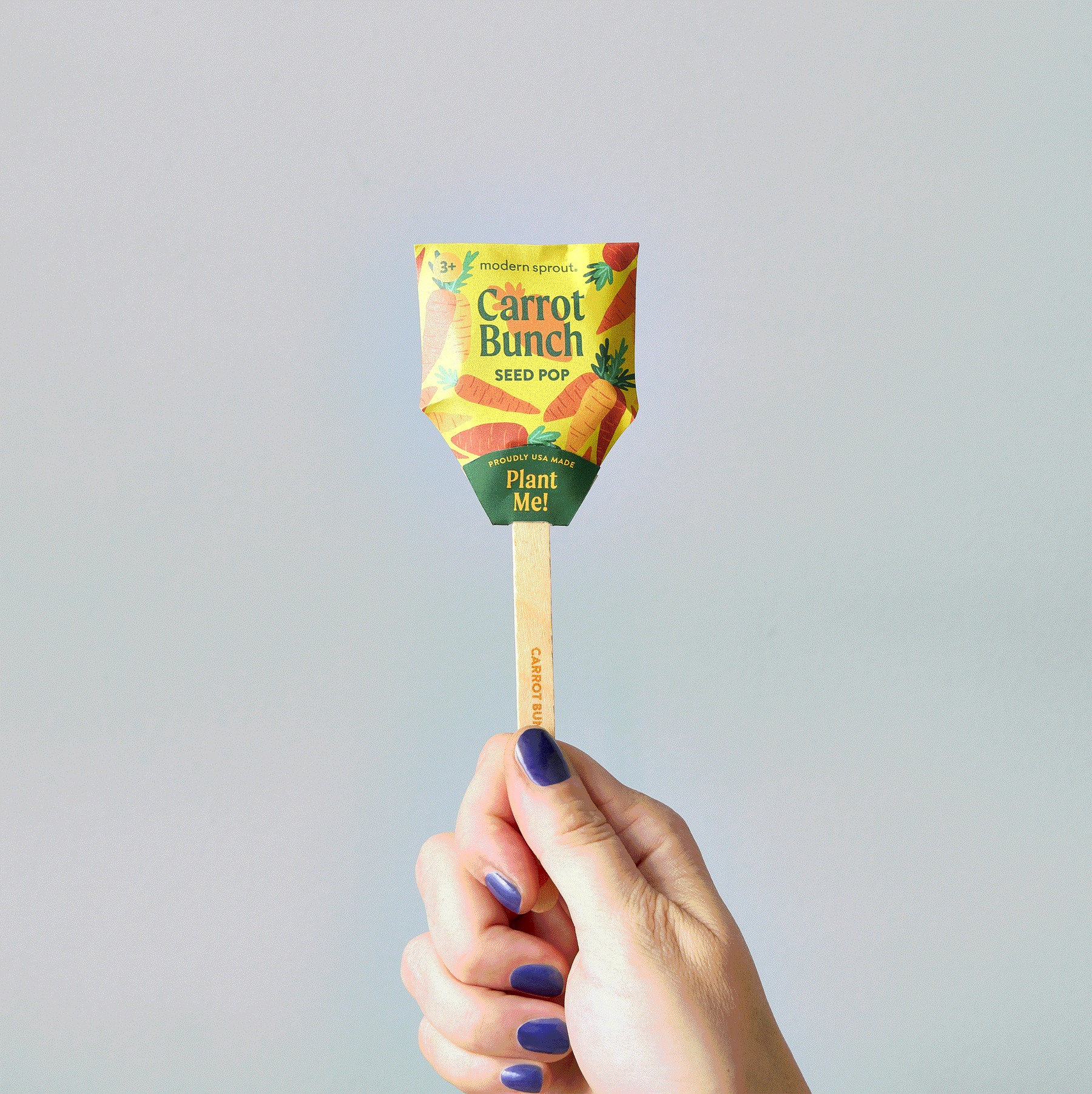 Hand holding a colorful carrot bunch seed pop with a wooden stick against a light blue background.