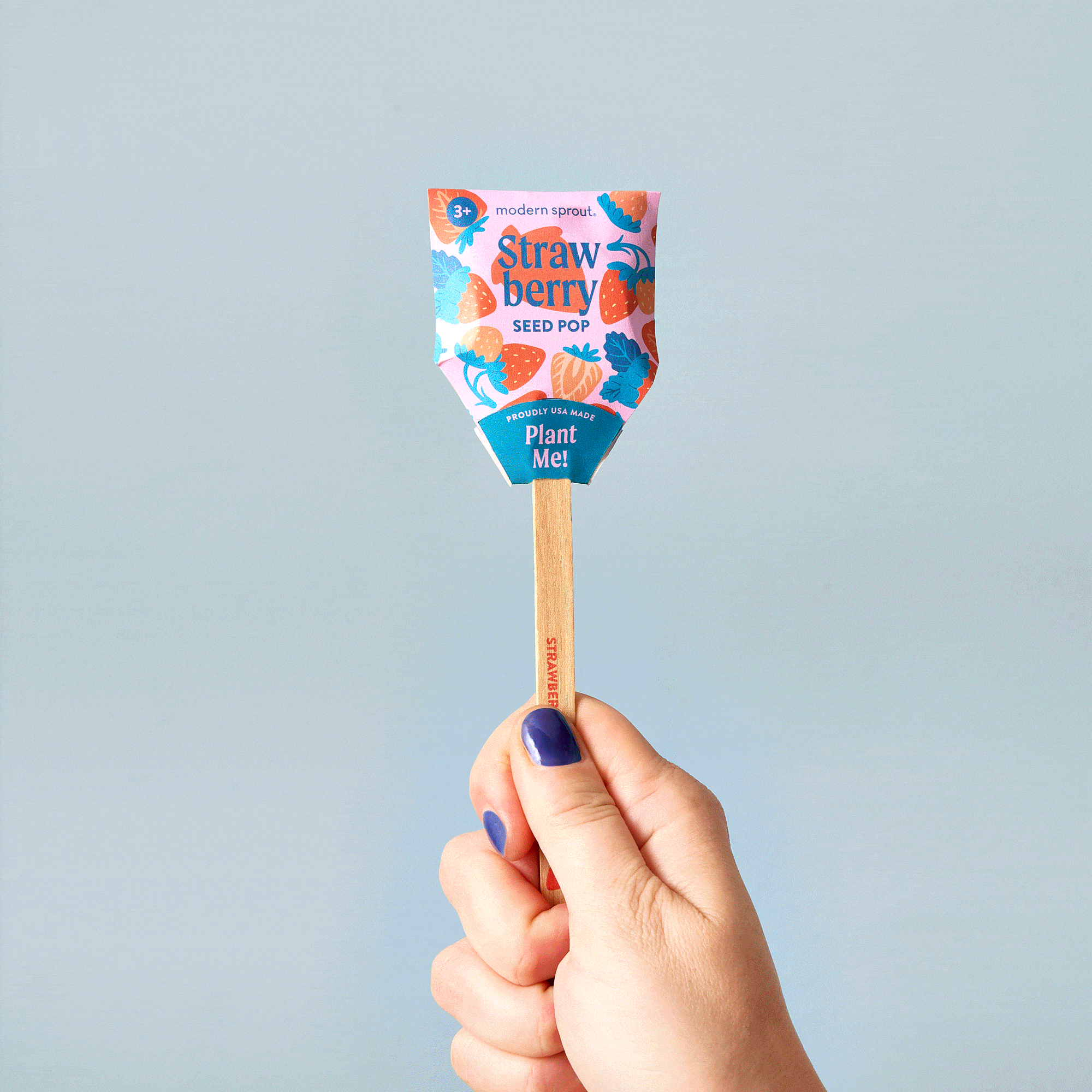 strawberry seed pop Seed Pops