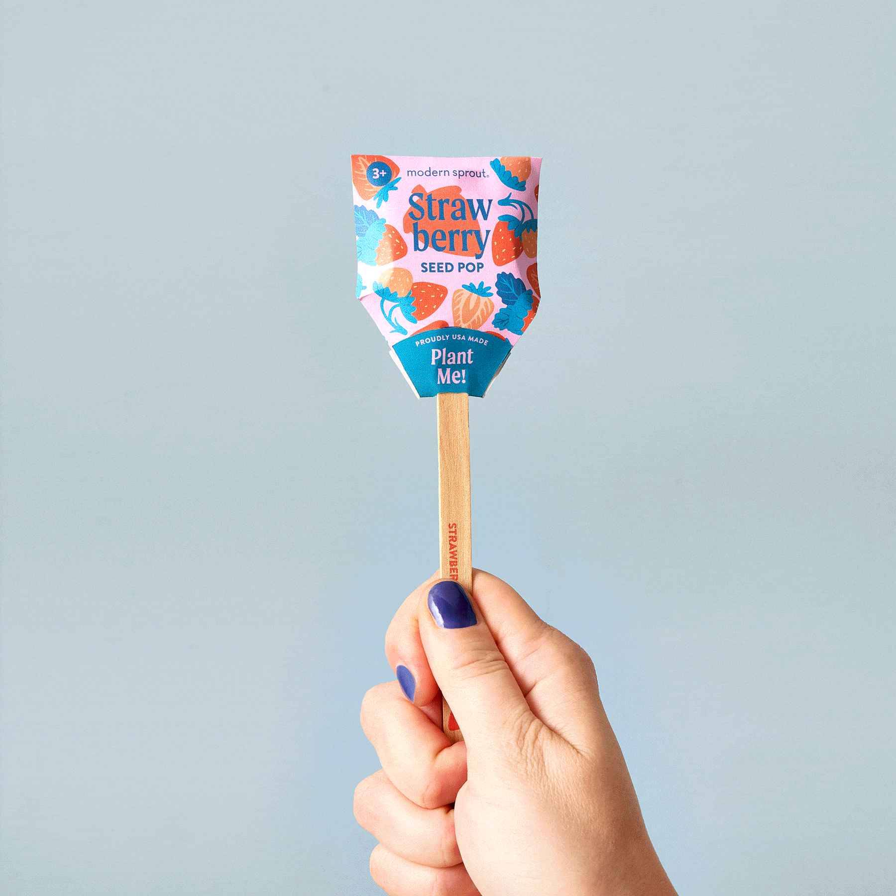 Hand holding a strawberry seed pop with colorful floral design, featuring instructions to plant the seeds.